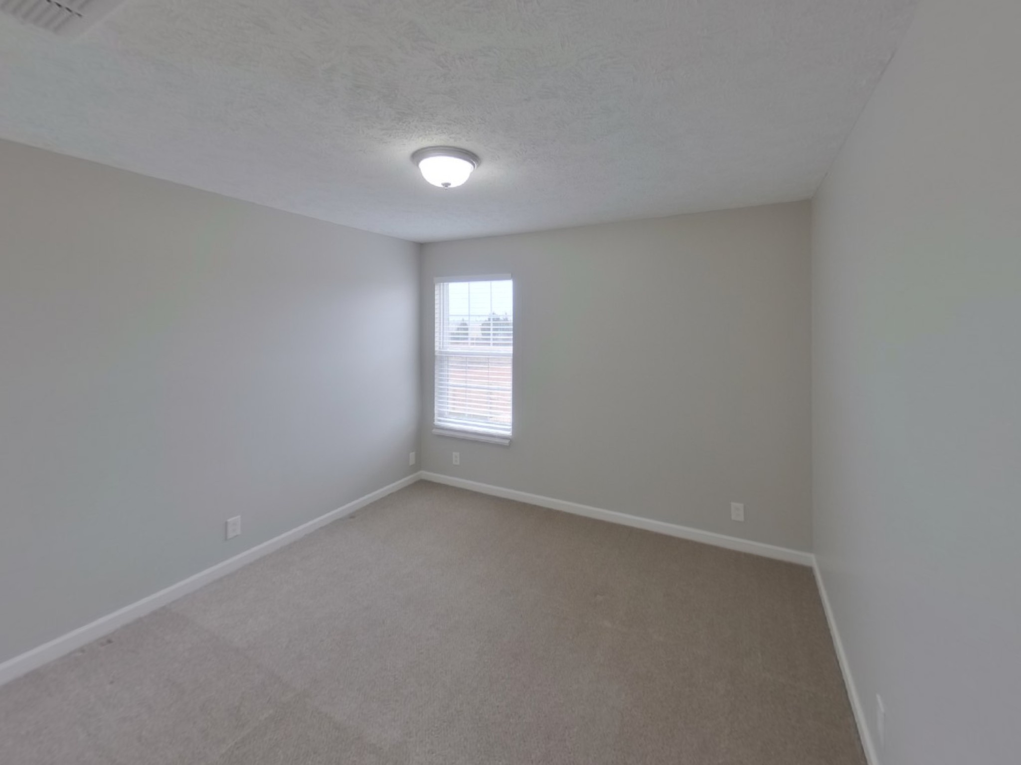 2616 Apostle Ln Property Photo 8