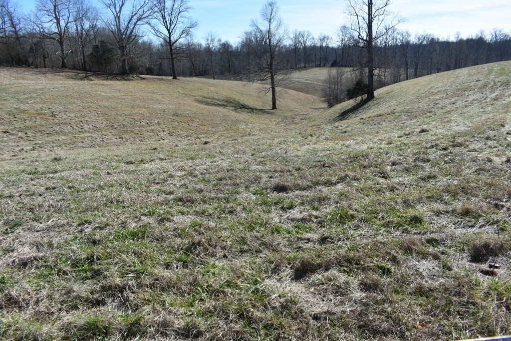 0 Dyer Ridge Rd Property Photo 6