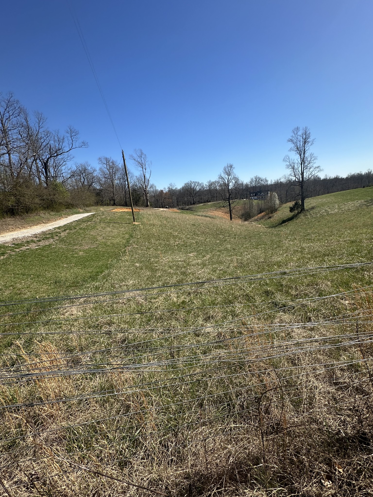 0 Dyer Ridge Rd Property Photo 8