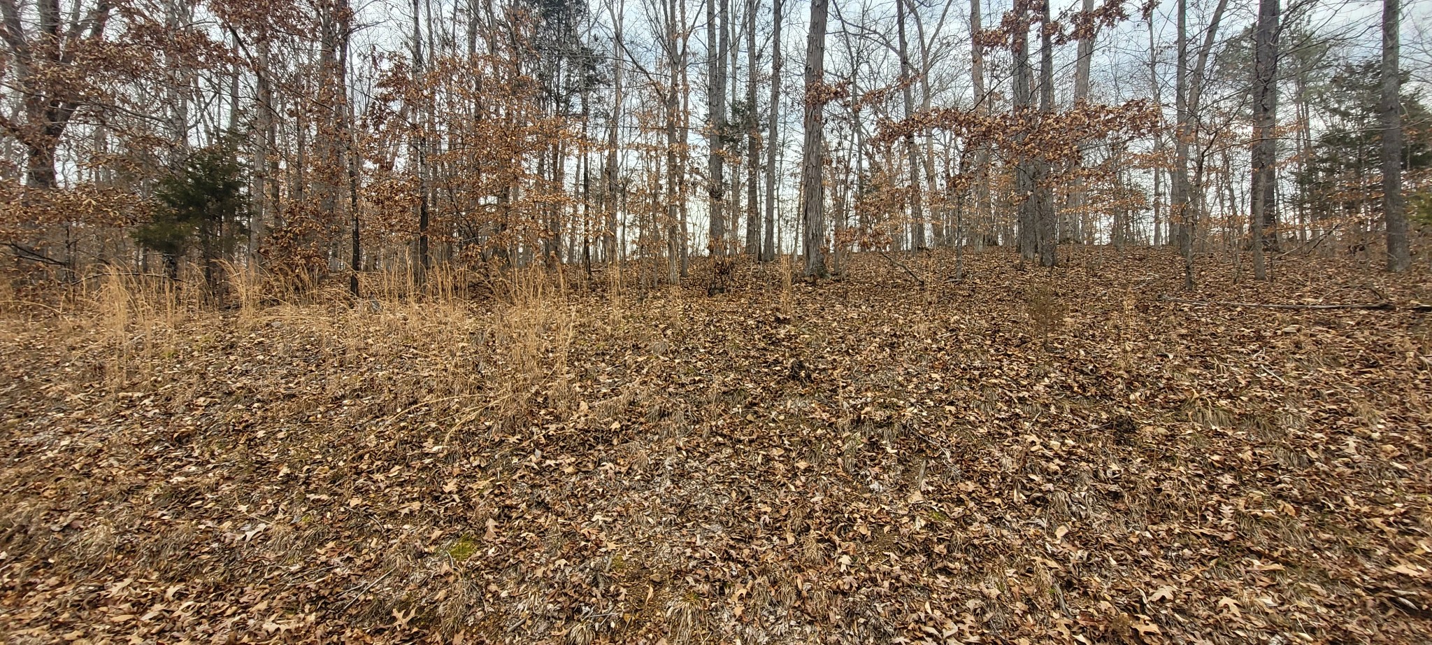 1 Lakeshore Cir
