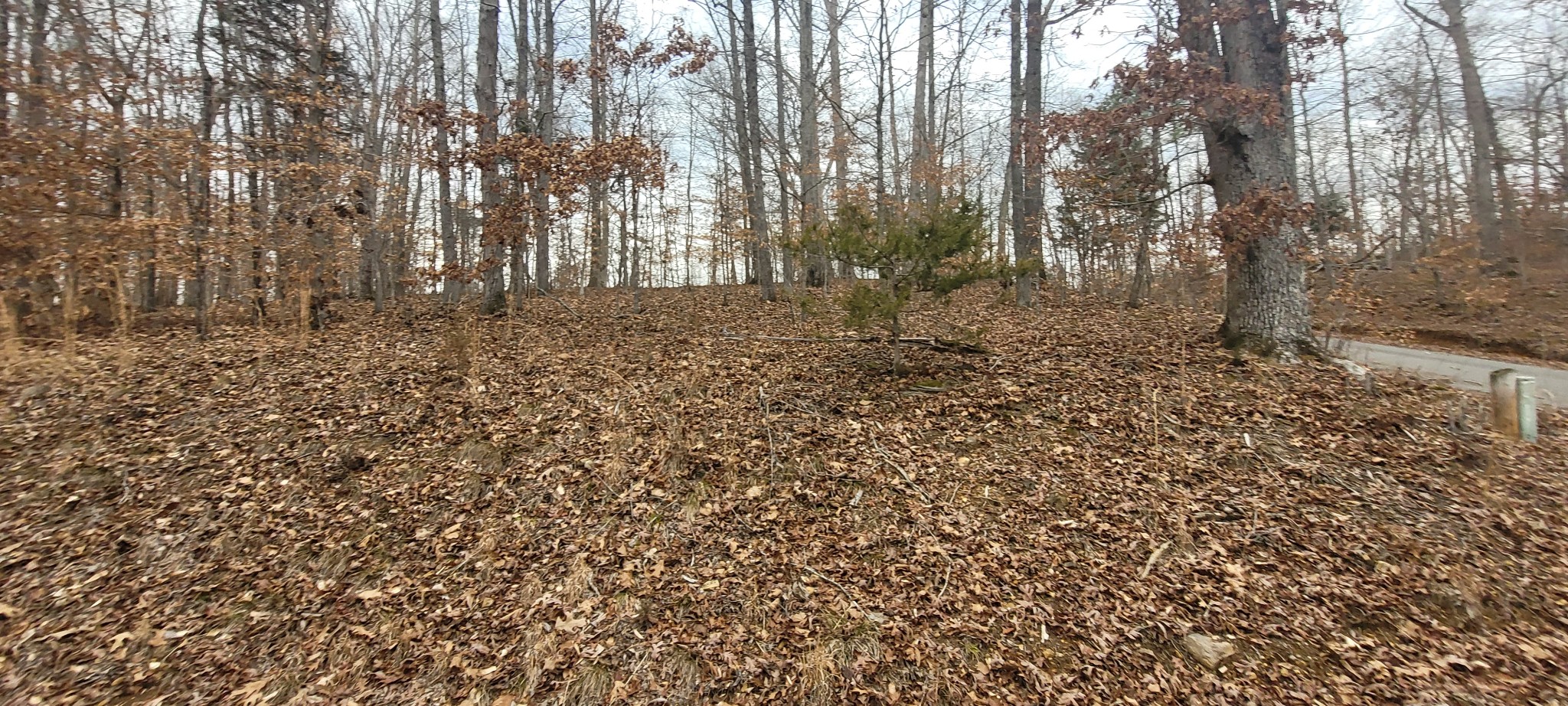 1 Lakeshore Cir Property Photo 2