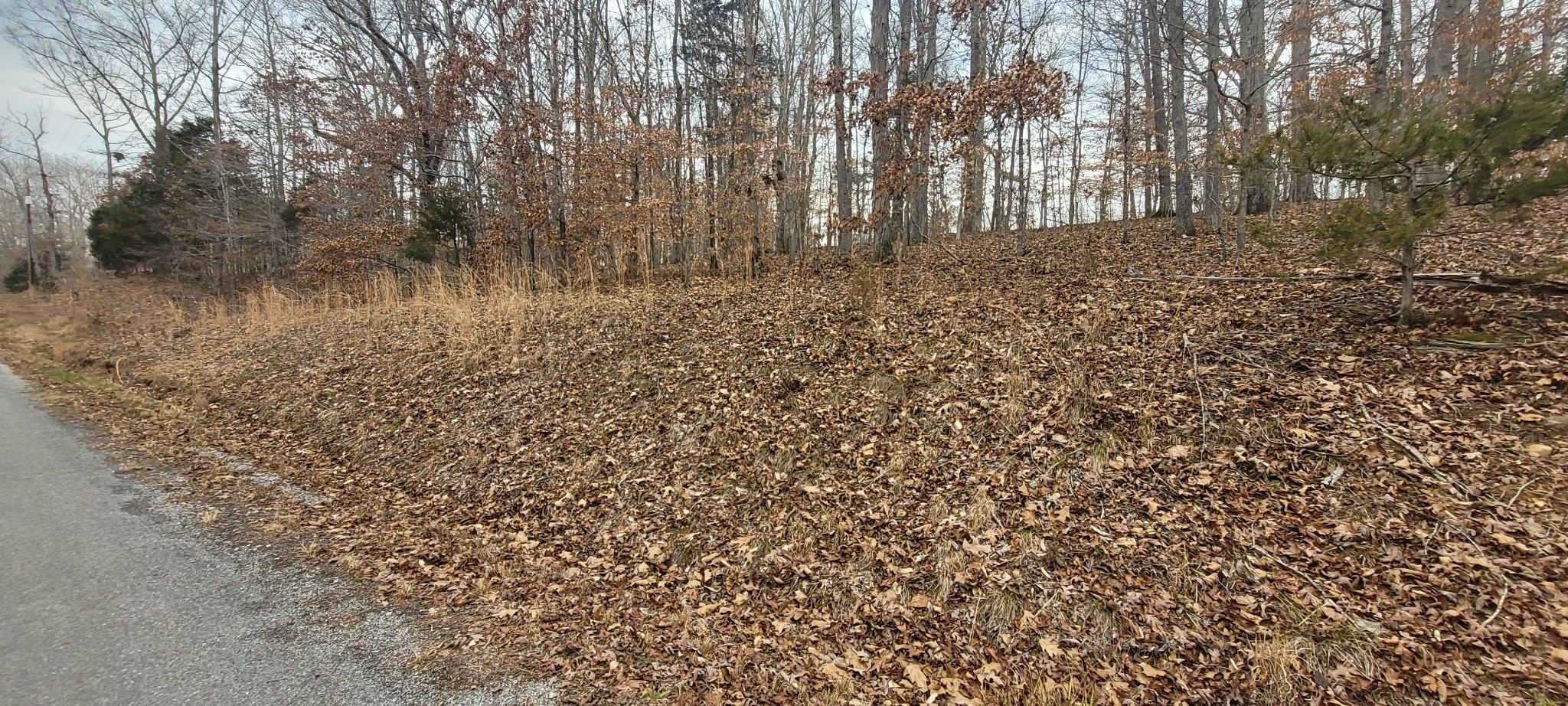 1 Lakeshore Cir Property Photo 3