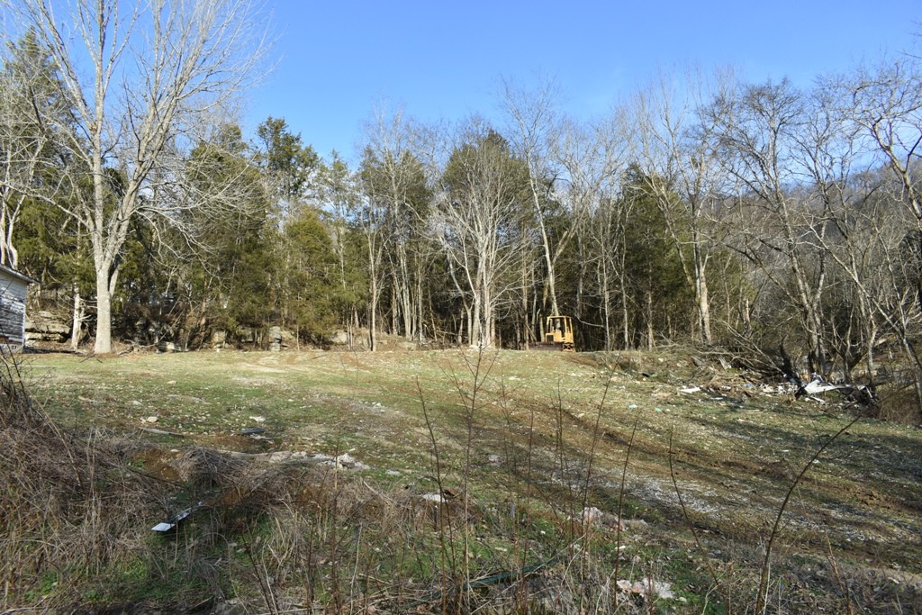 156 Sullivan Bend Rd Property Photo 4
