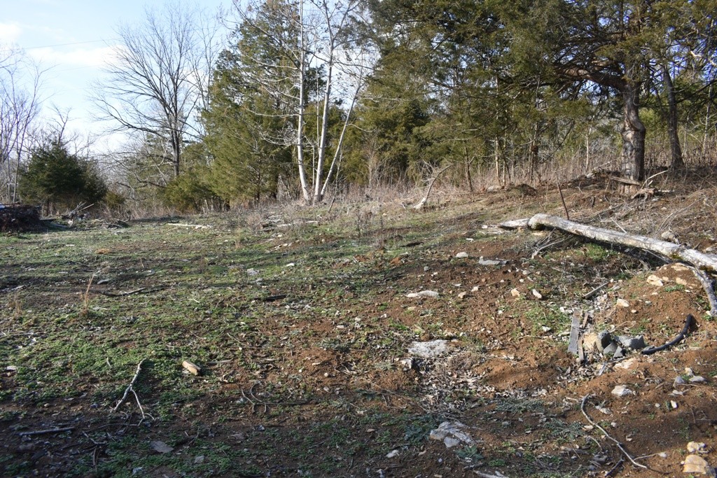 156 Sullivan Bend Rd Property Photo 6
