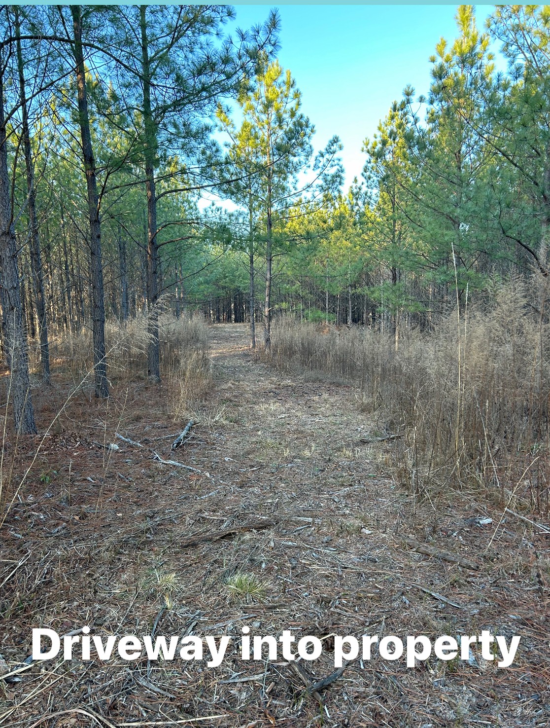 210 Ridgewood Dr Property Photo 7