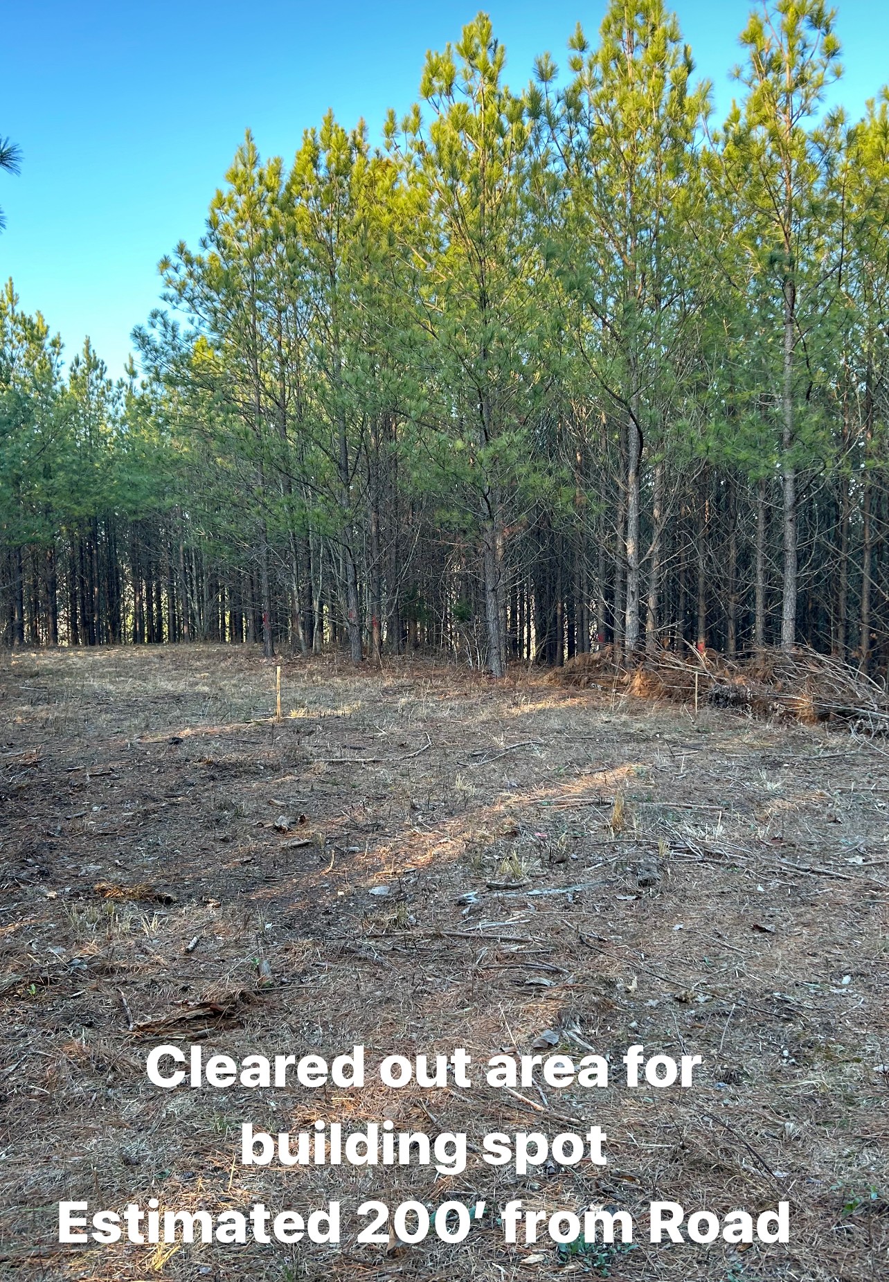 210 Ridgewood Dr Property Photo 11