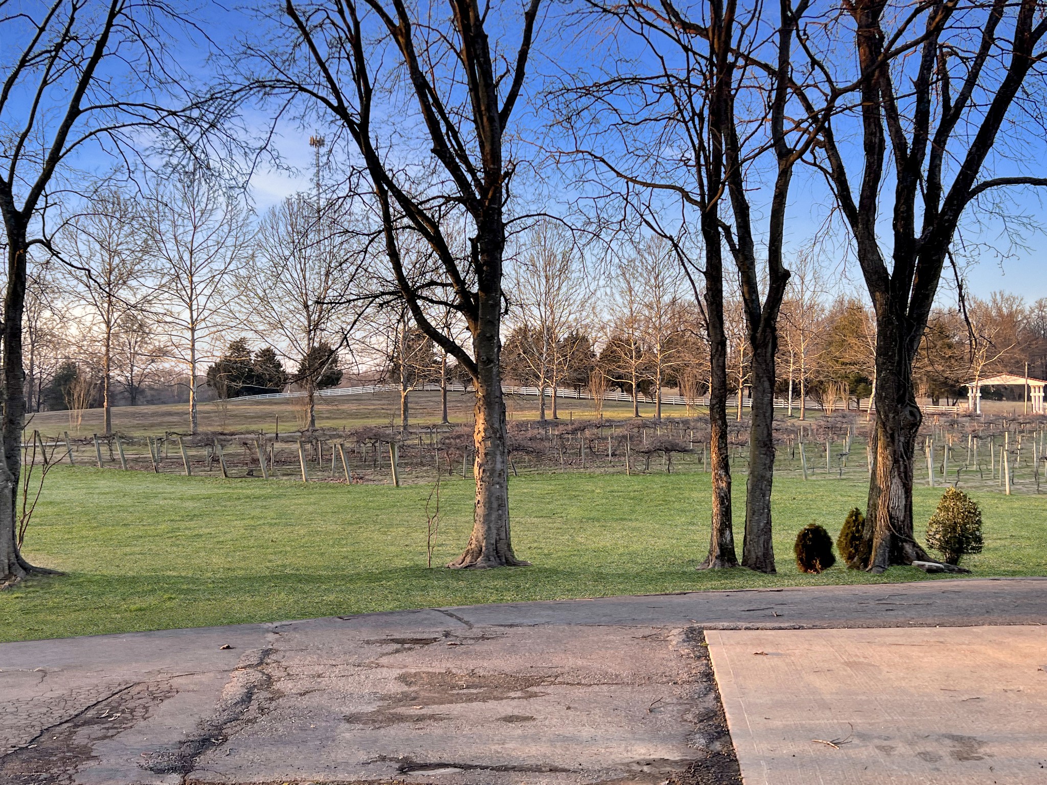 2982 Harvey Bowden Rd Property Photo 31