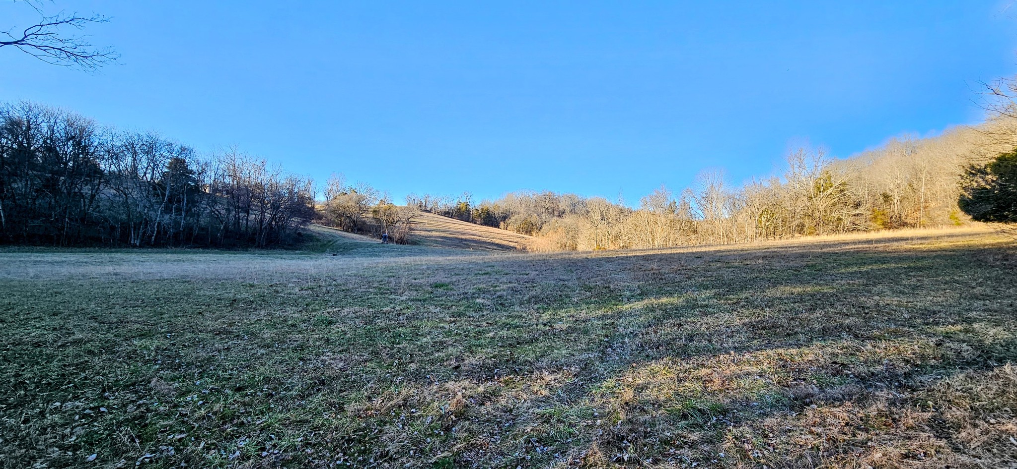 1820 Petty Hollow Rd, N Property Photo 30