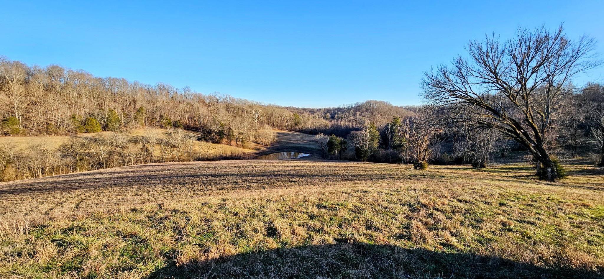 1820 Petty Hollow Rd, N Property Photo 33