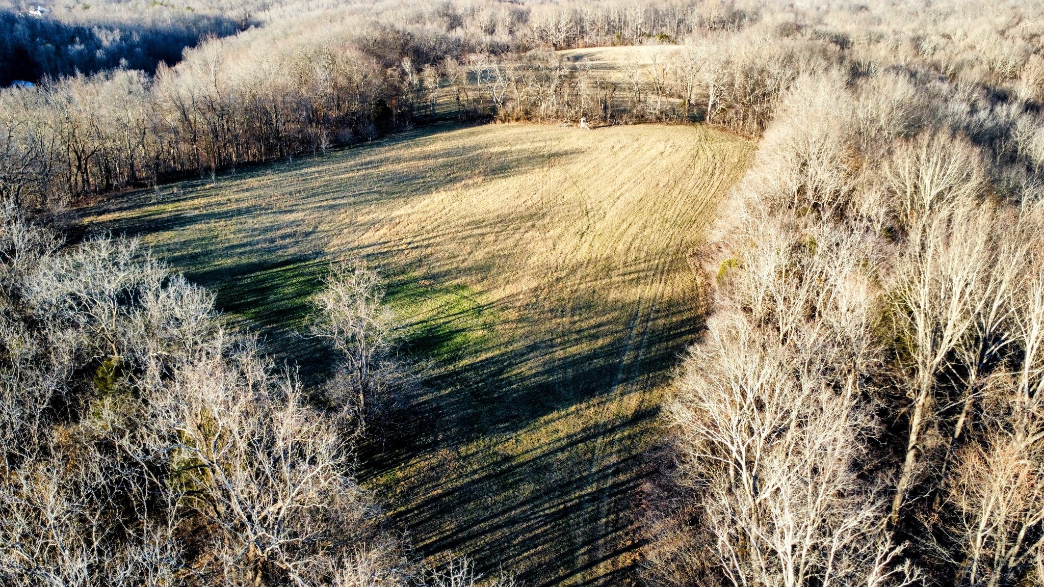 1820 Petty Hollow Rd, N Property Photo 38