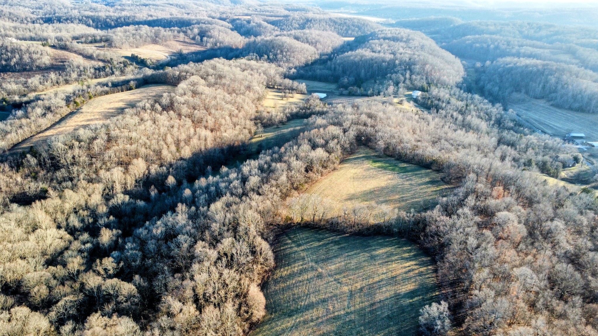 1820 Petty Hollow Rd, N Property Photo 40