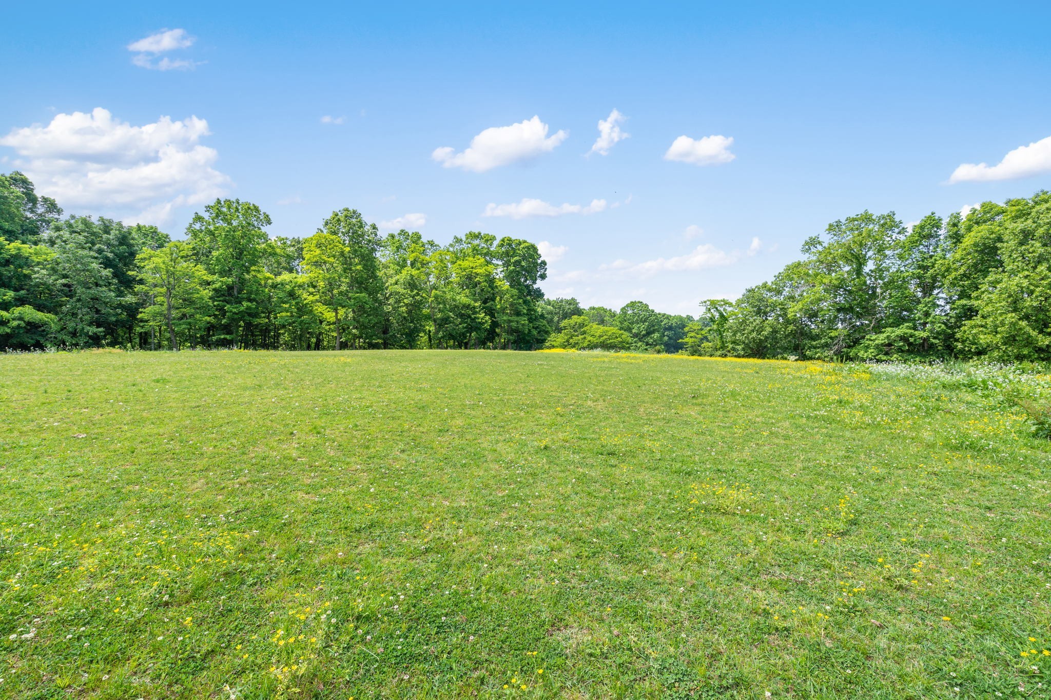 7725 Caney Fork Rd Property Photo