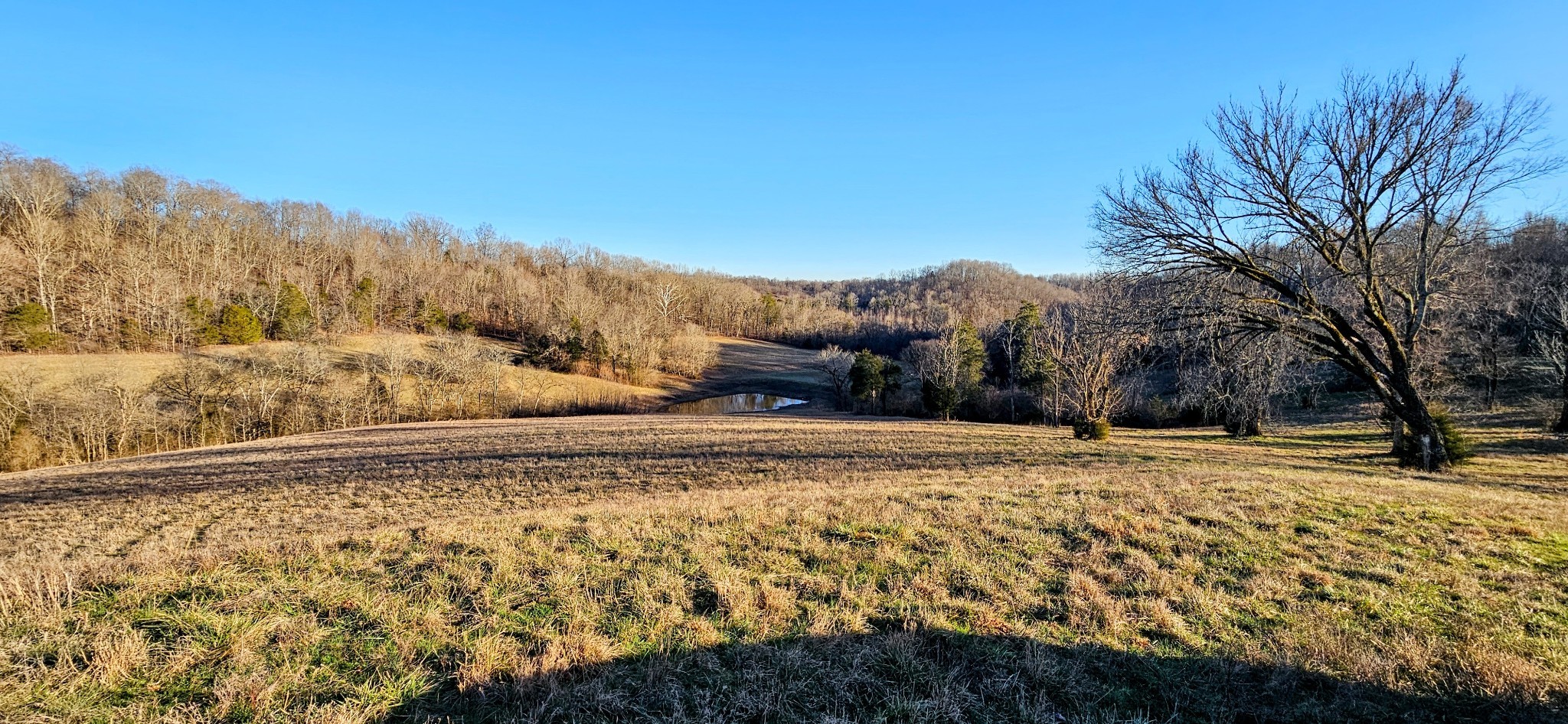 1820 Petty Hollow Rd, N Property Photo 33