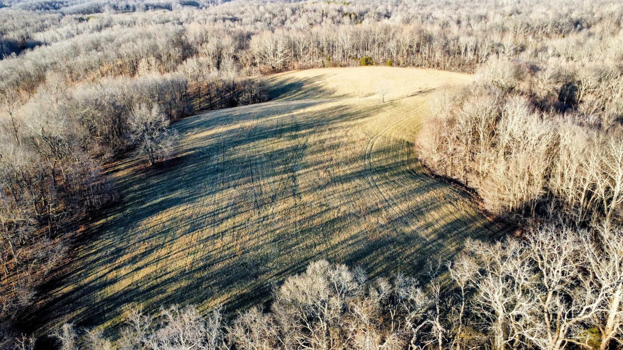 1820 Petty Hollow Rd, N Property Photo 40
