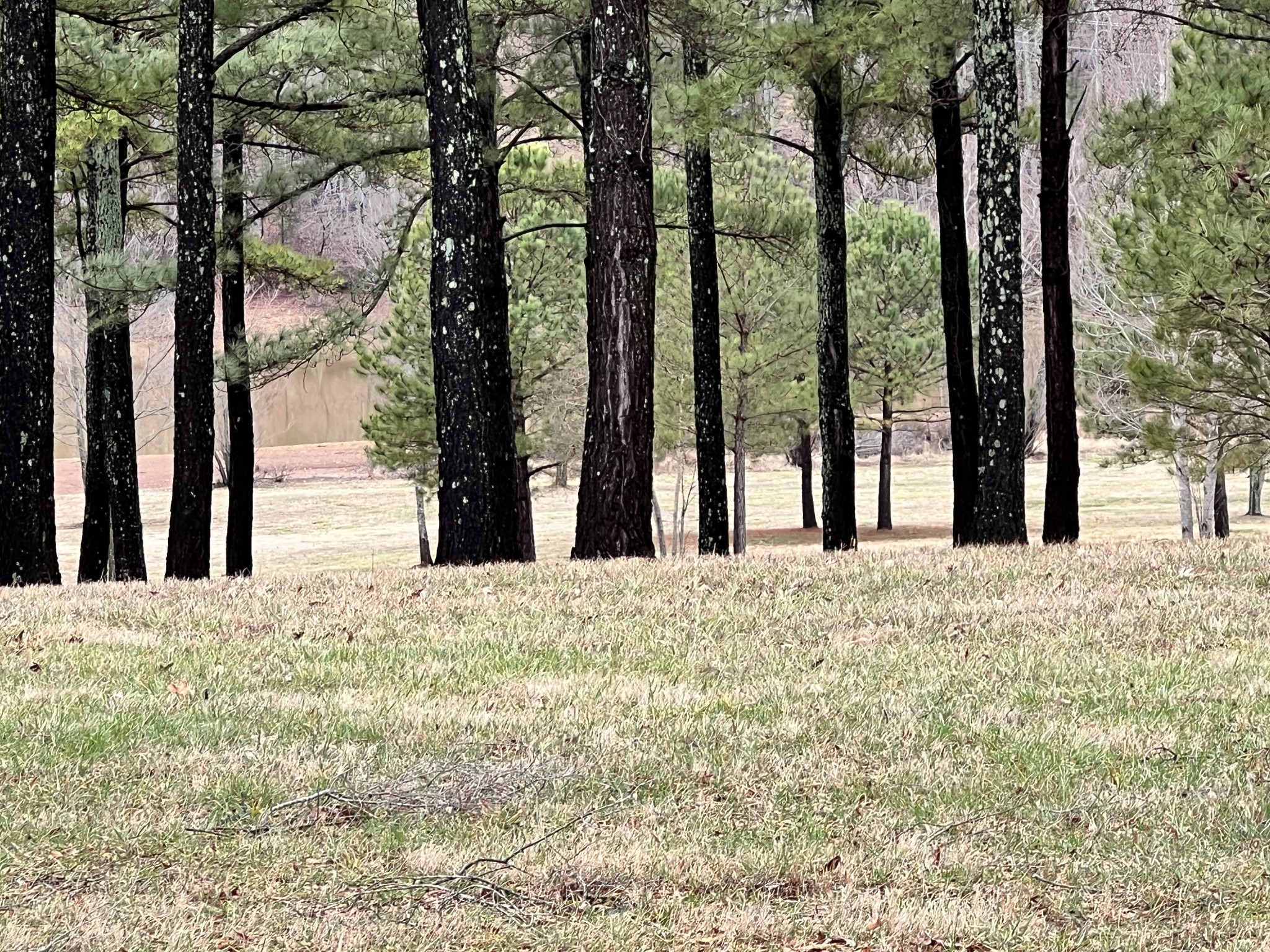 0 Slalom Circle Property Photo 1