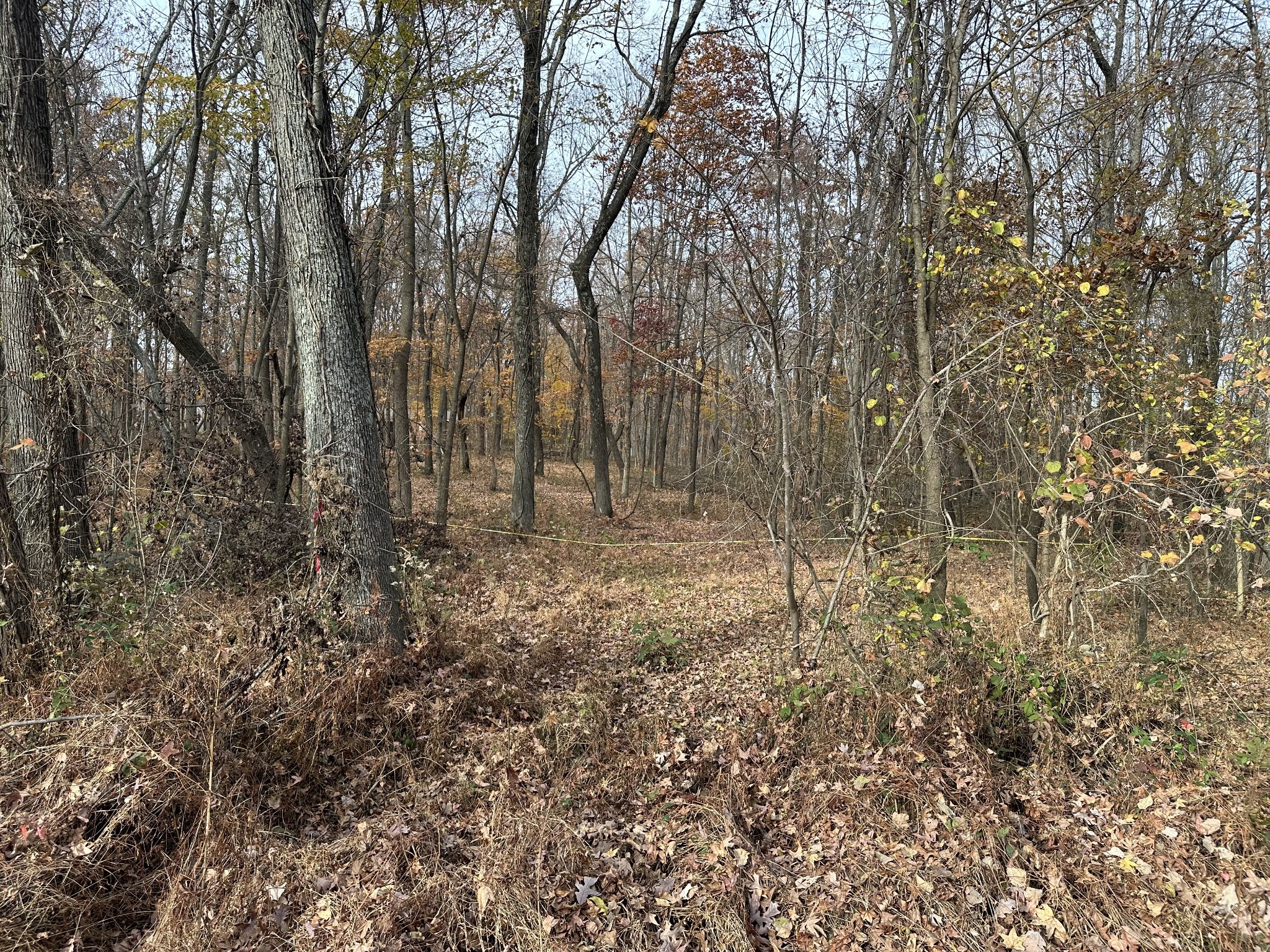 0 Bethlehem Rd Property Photo 1