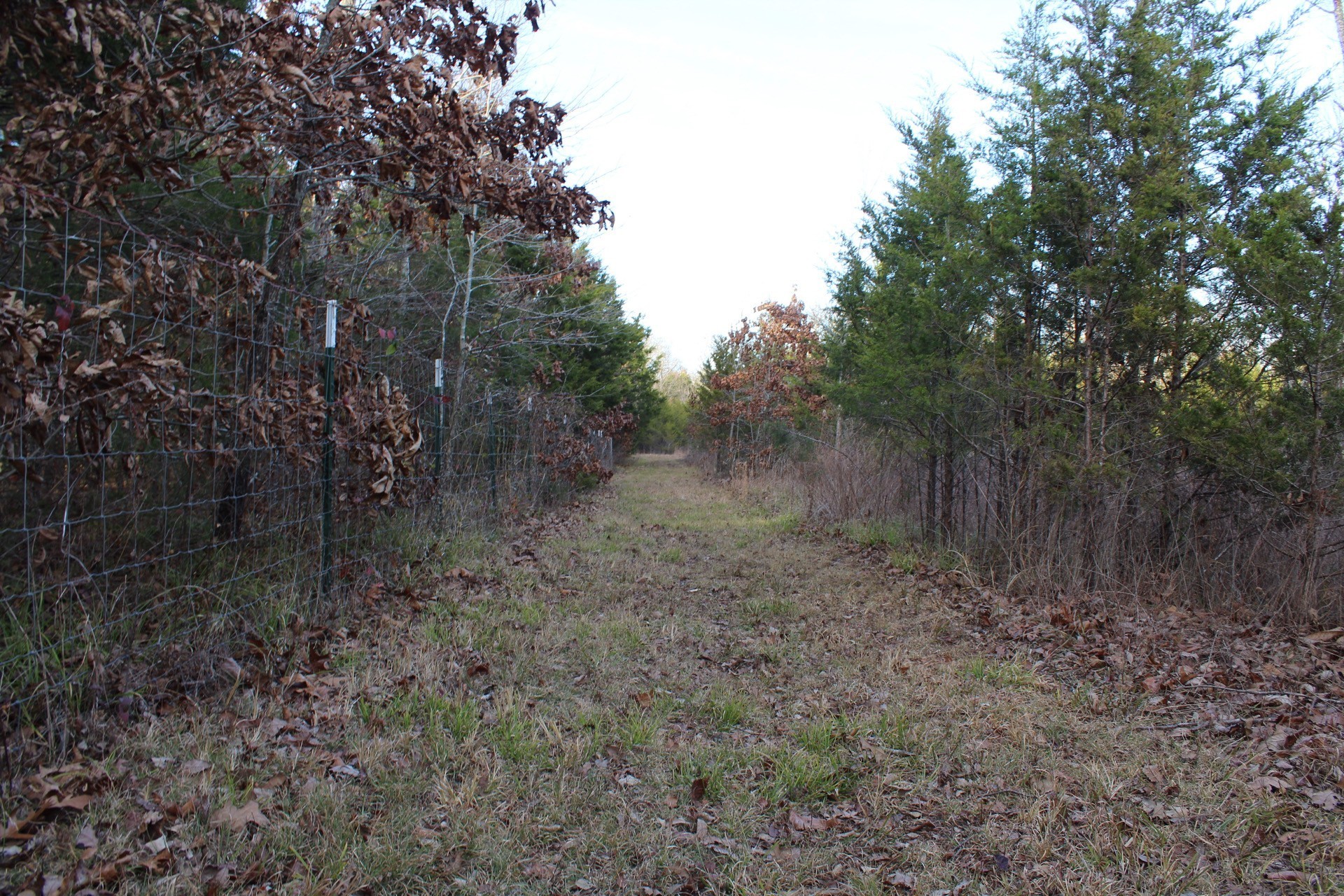 11061 Murfreesboro Rd Property Photo 29