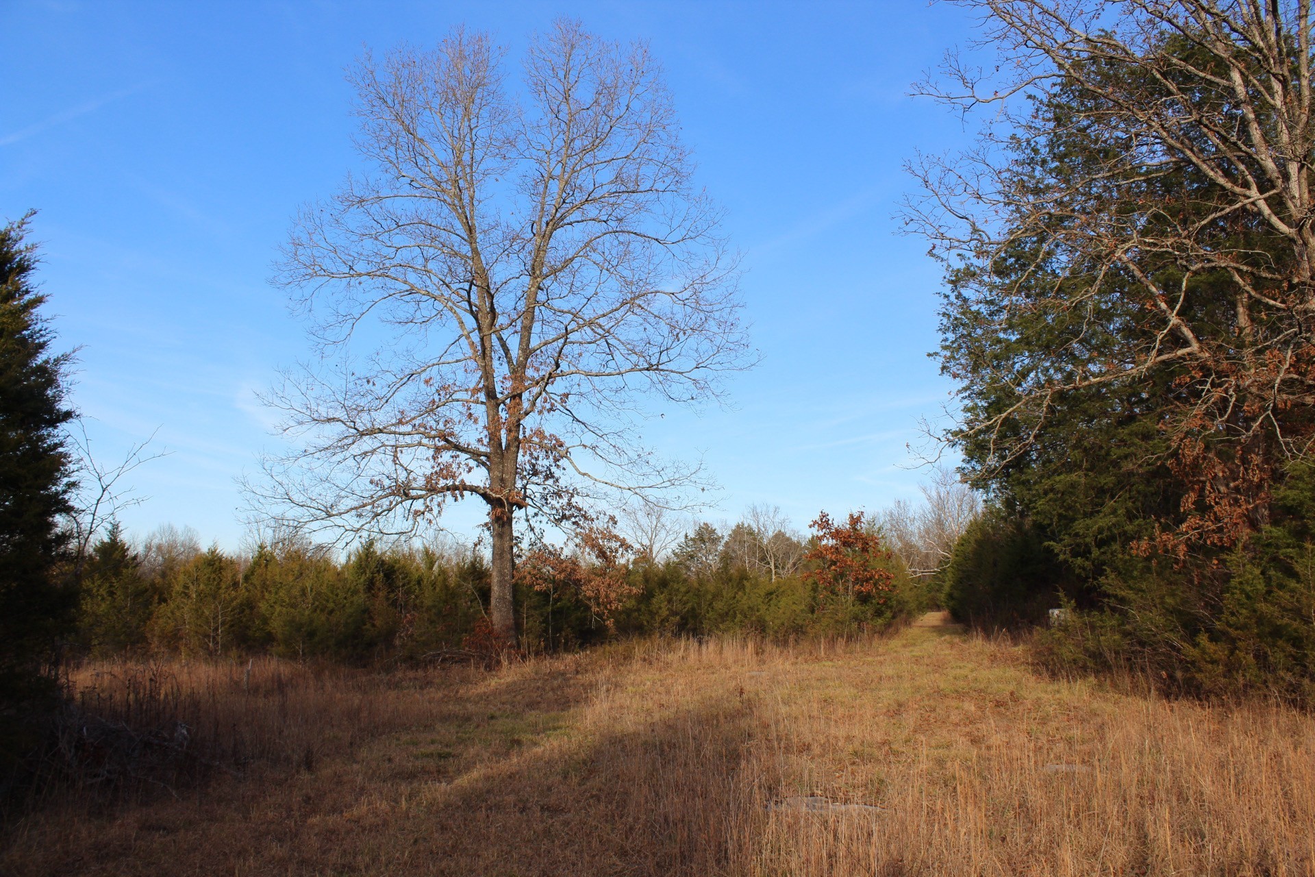 11061 Murfreesboro Rd Property Photo 30