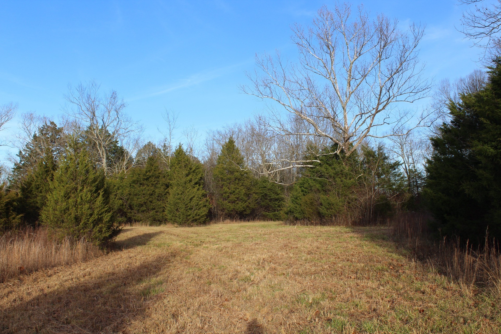 11061 Murfreesboro Rd Property Photo 31