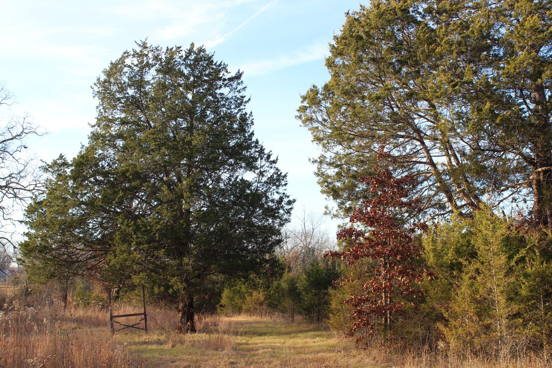 11061 Murfreesboro Rd Property Photo 32