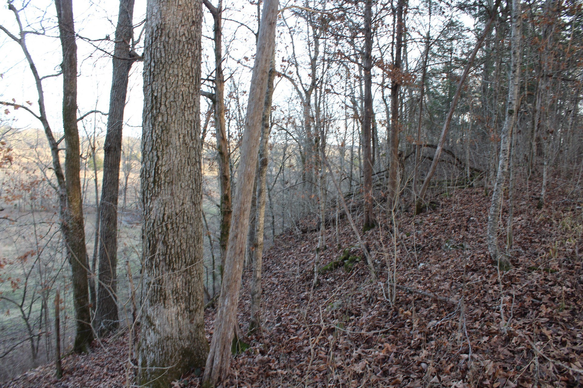 11061 Murfreesboro Rd Property Photo 34