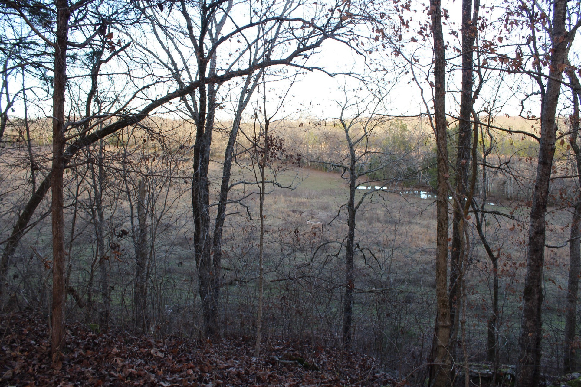 11061 Murfreesboro Rd Property Photo 35