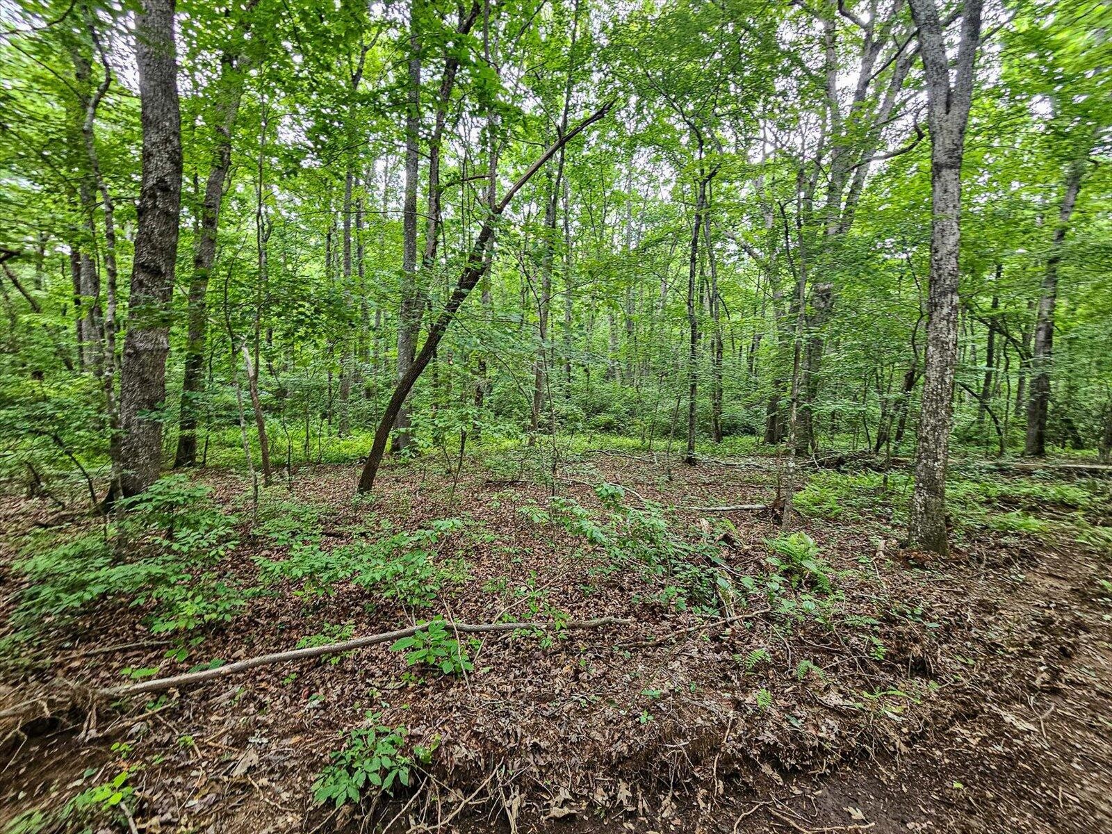 0 Hwy 157 Property Photo 13