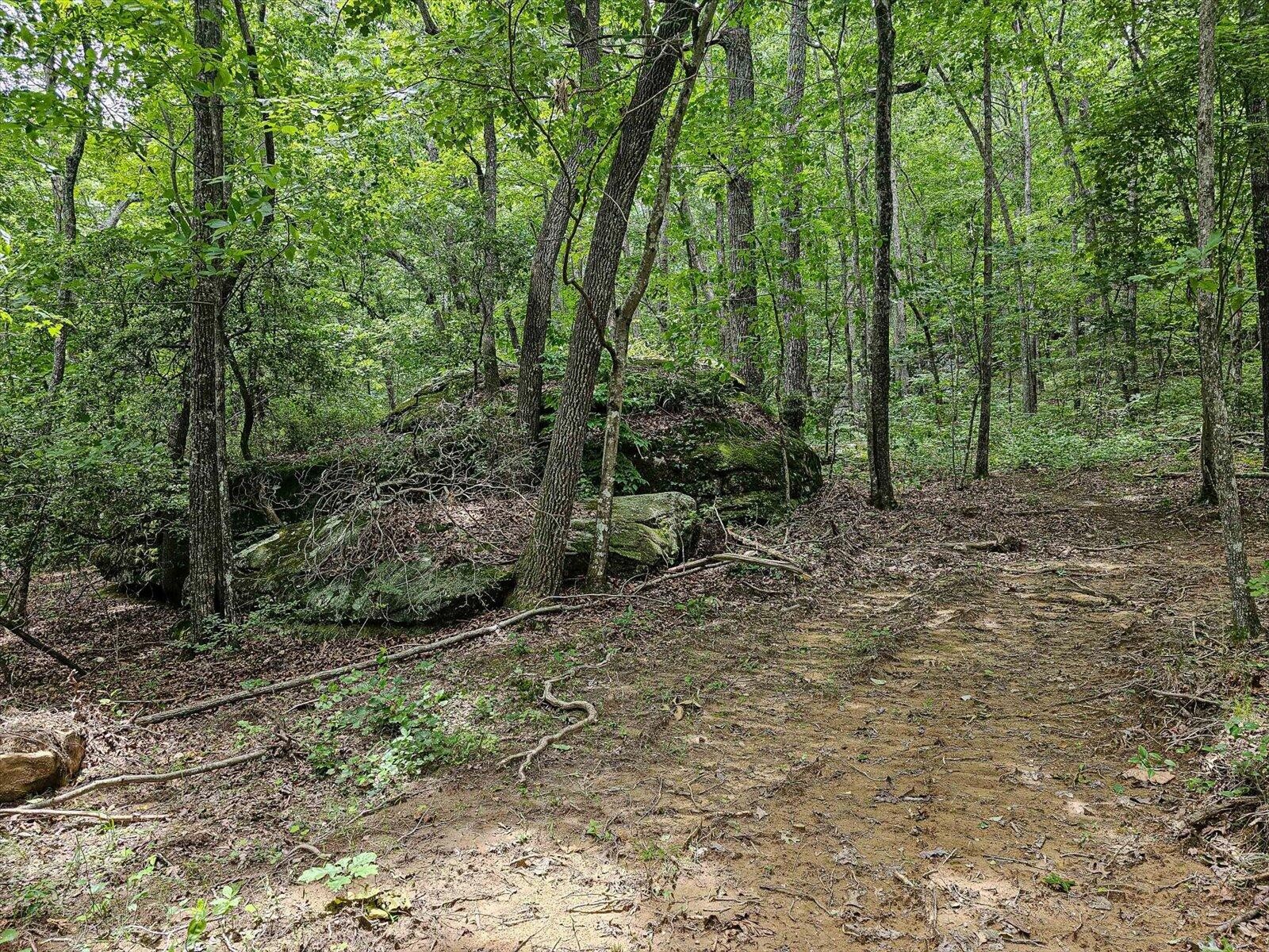 0 Hwy 157 Property Photo 15