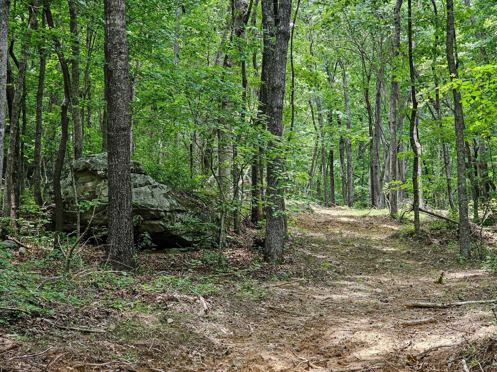 0 Hwy 157 Property Photo 18
