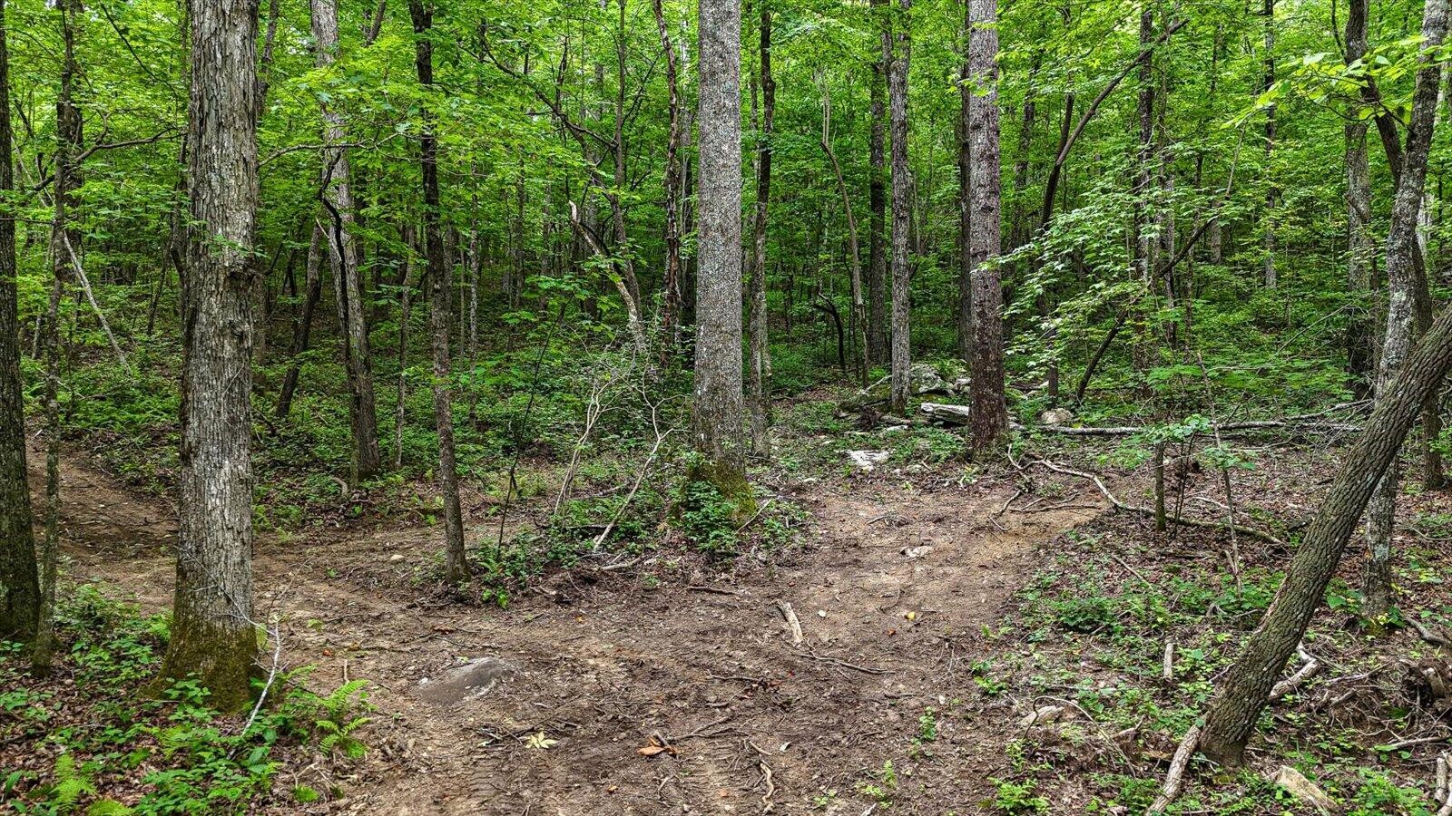 0 Hwy 157 Property Photo 25