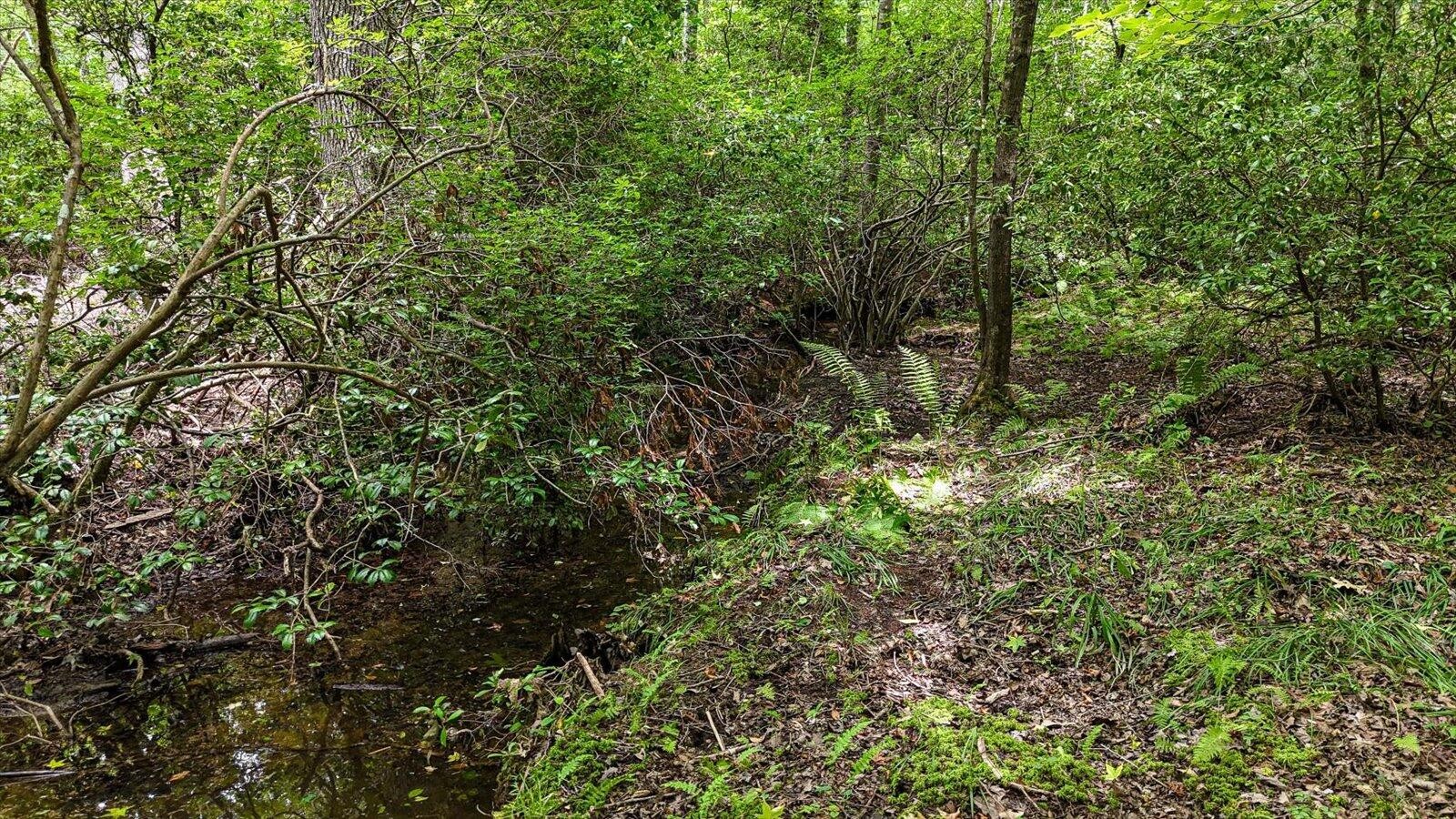 0 Hwy 157 Property Photo 26