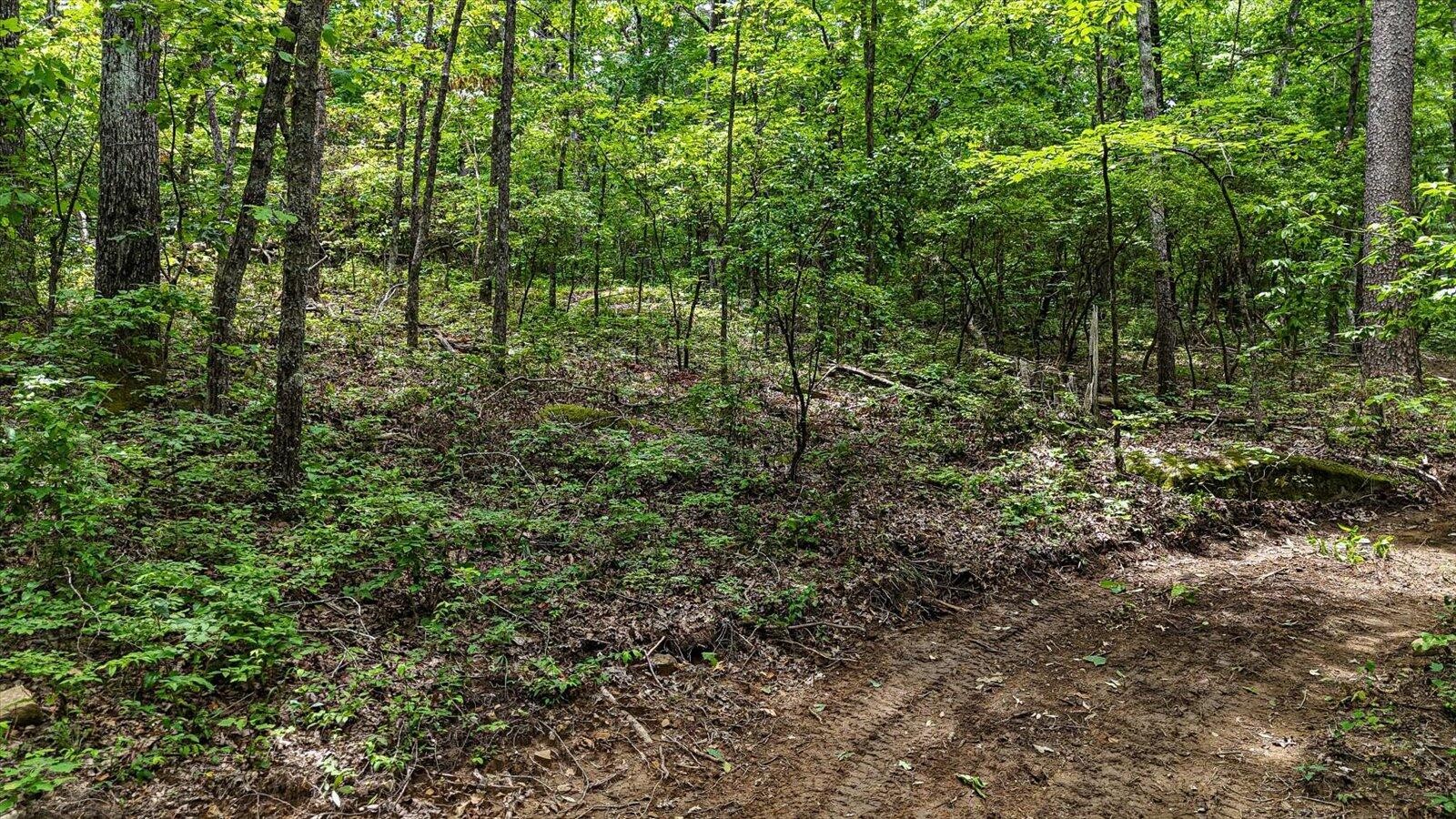 0 Hwy 157 Property Photo 29