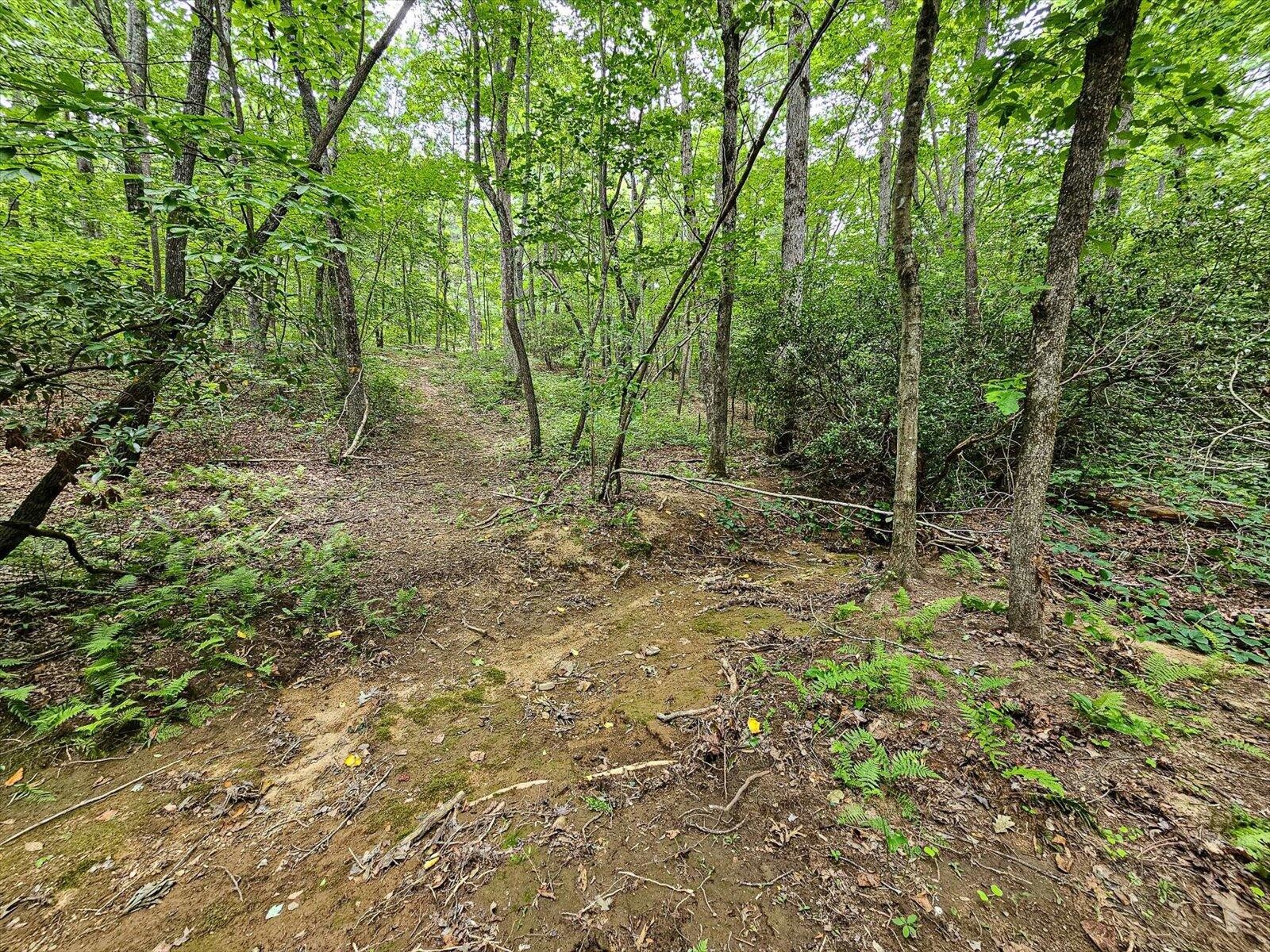 0 Hwy 157 Property Photo 31