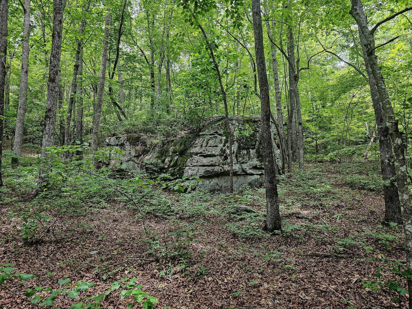 0 Hwy 157 Property Photo 35