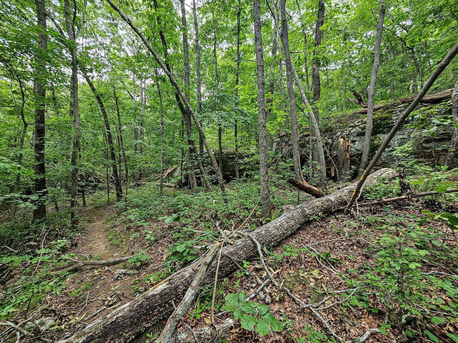 0 Hwy 157 Property Photo 36
