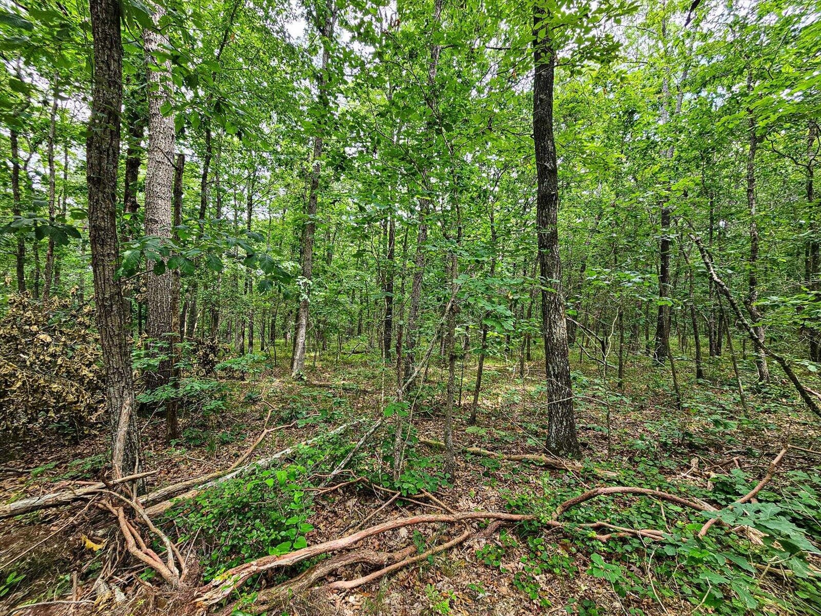 0 Hwy 157 Property Photo 37