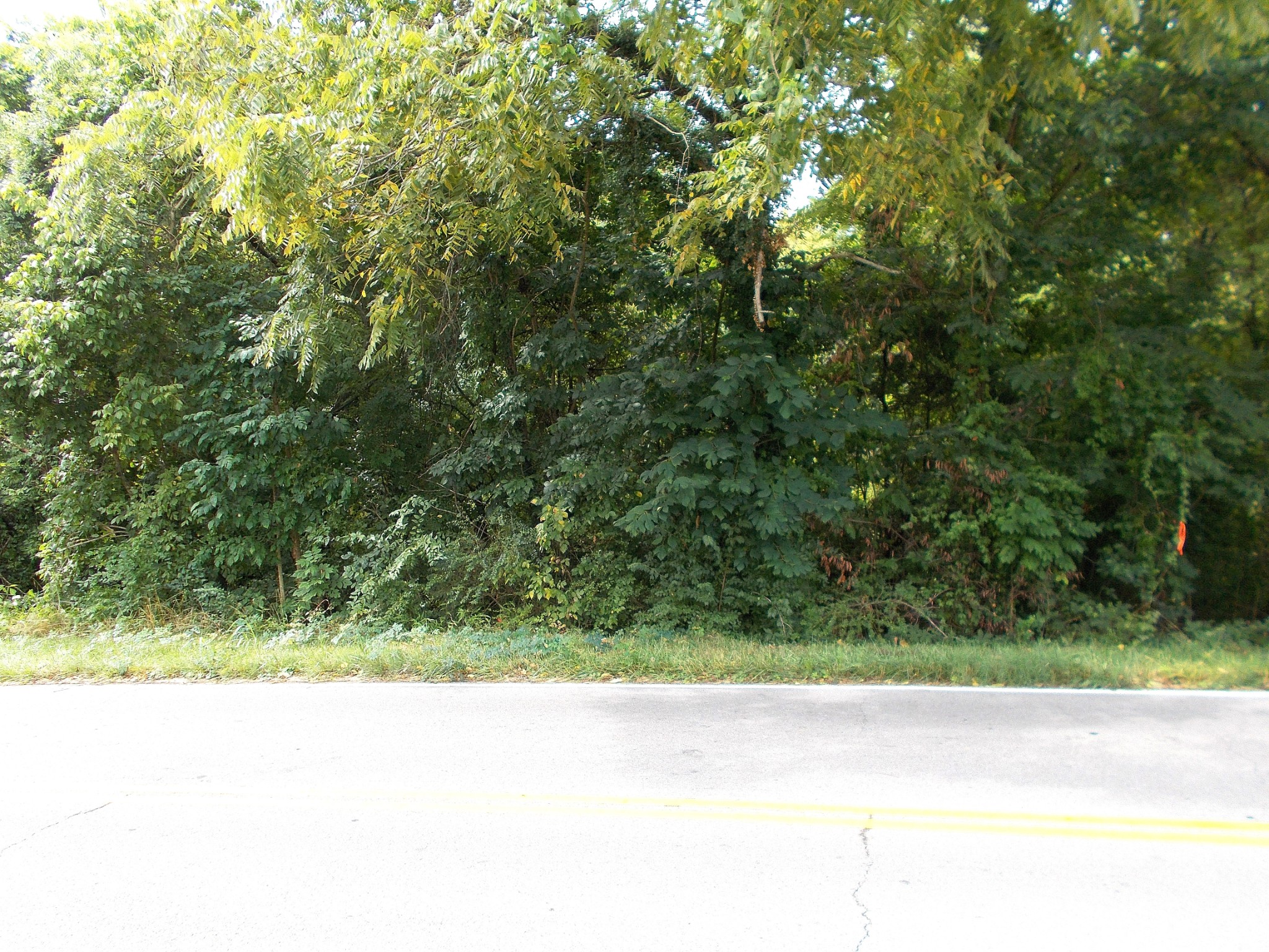 0 W Walnut St Property Photo 5