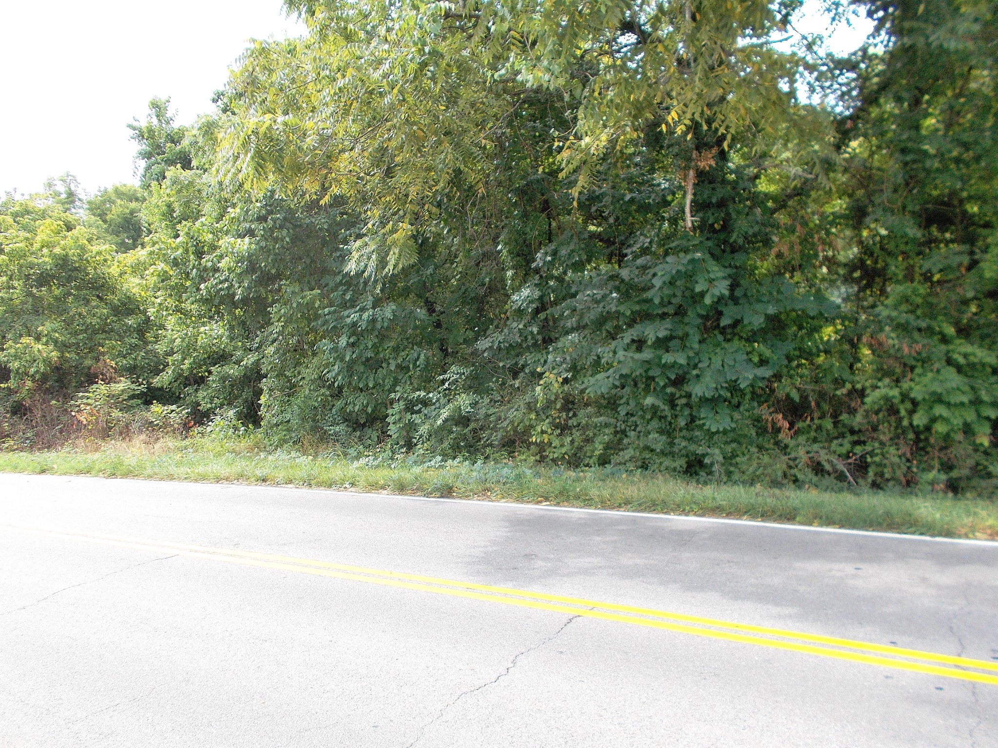 0 W Walnut St Property Photo 6