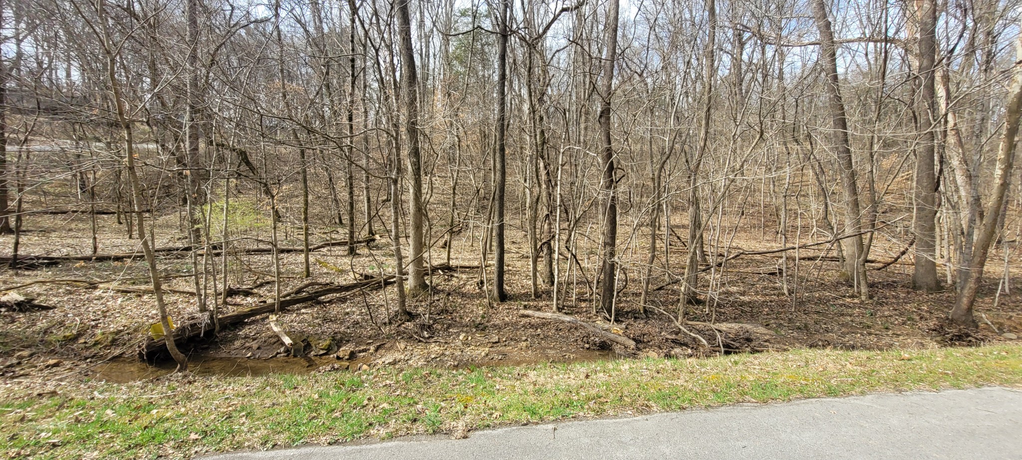 1 Lakeshore Cir