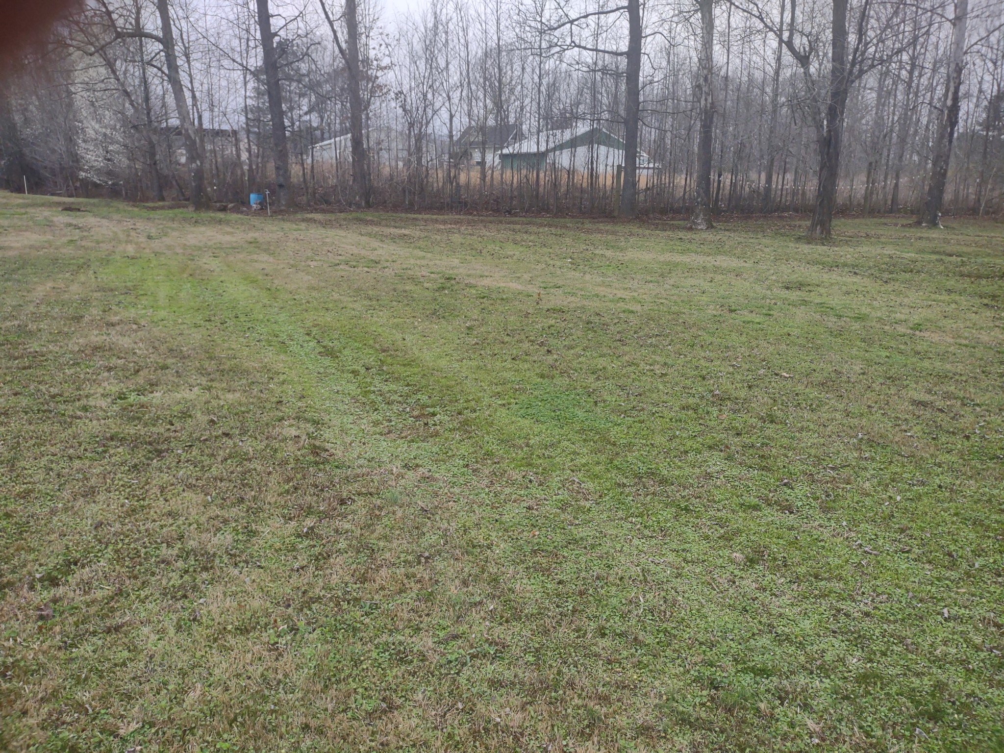 59 Lakeside Ln Property Photo 6
