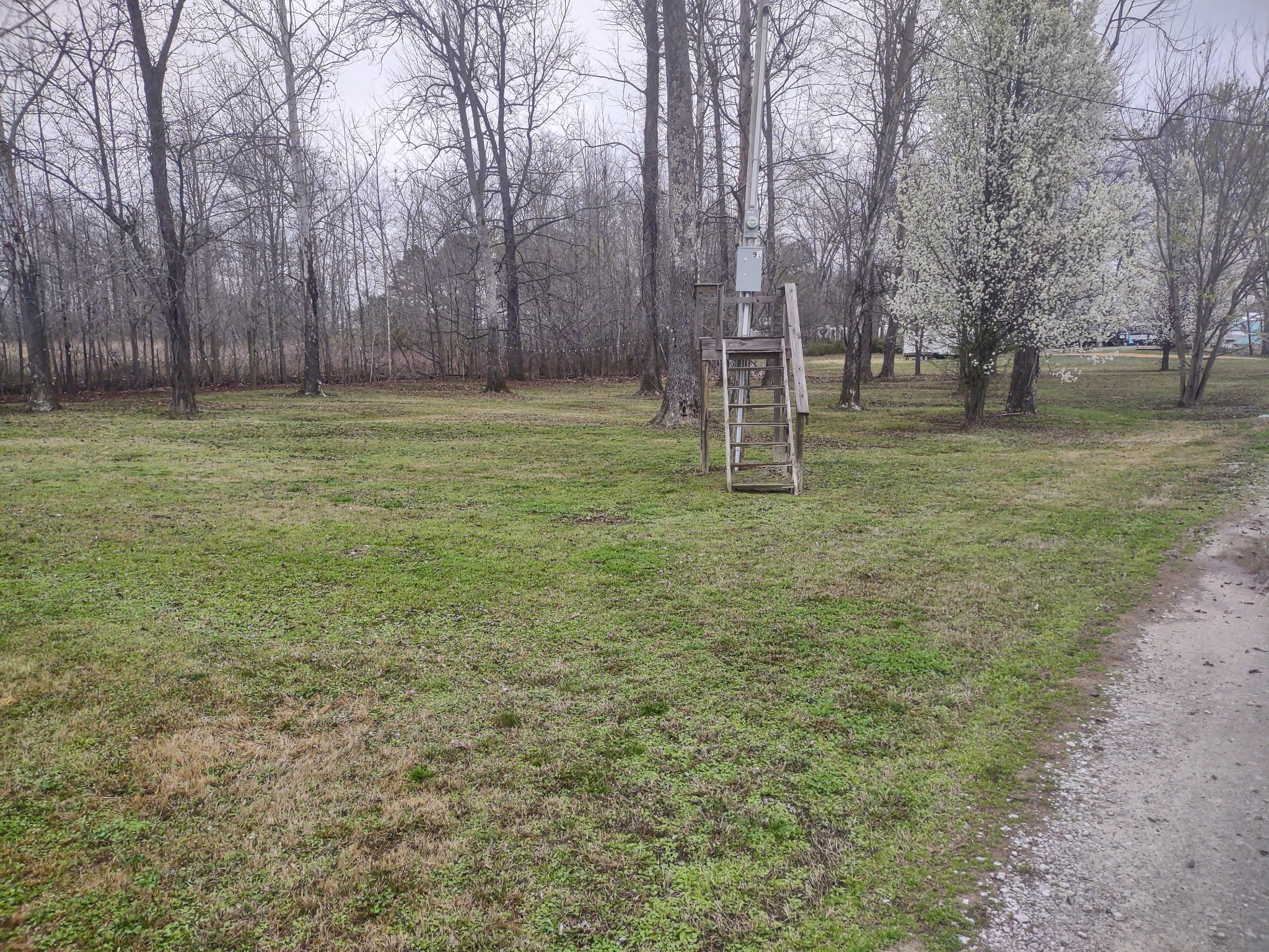 59 Lakeside Ln Property Photo 9
