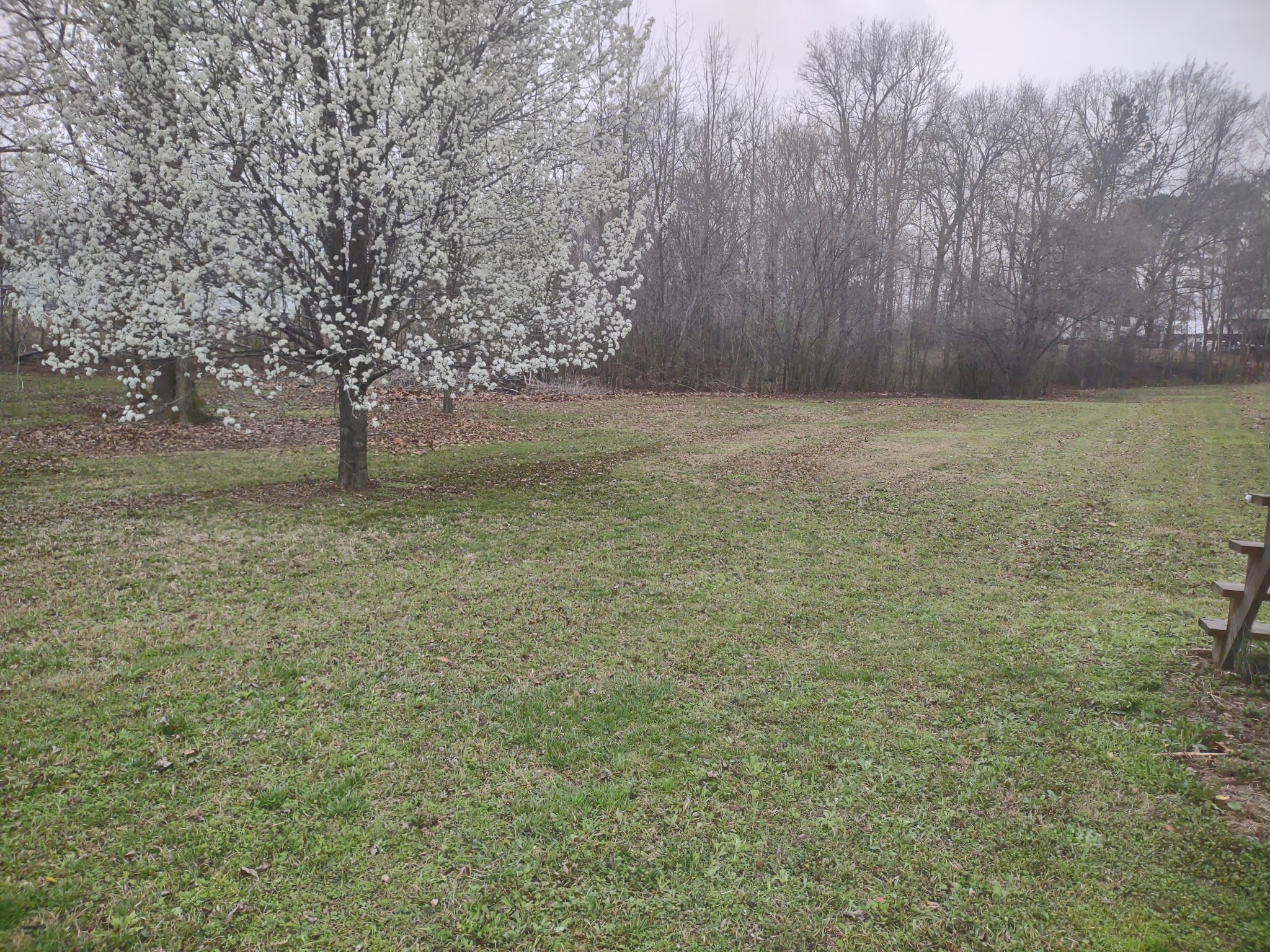 59 Lakeside Ln Property Photo 11