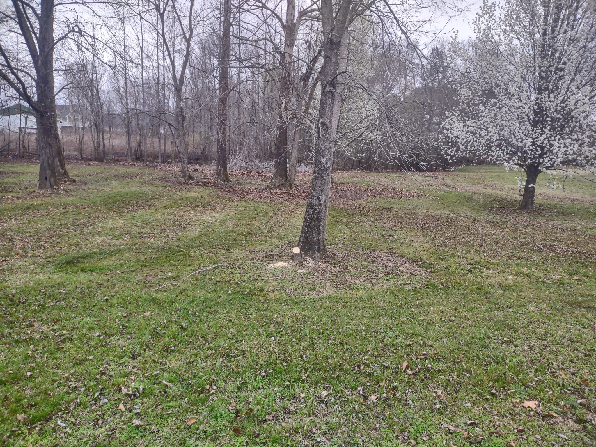 59 Lakeside Ln Property Photo 12