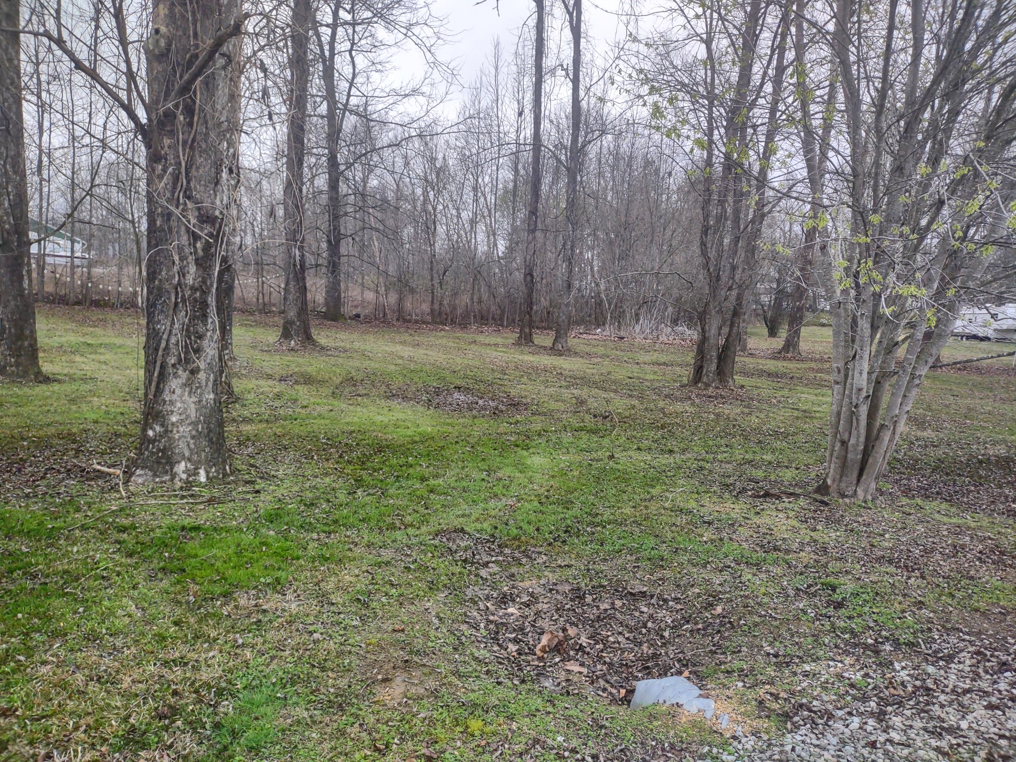 59 Lakeside Ln Property Photo 14