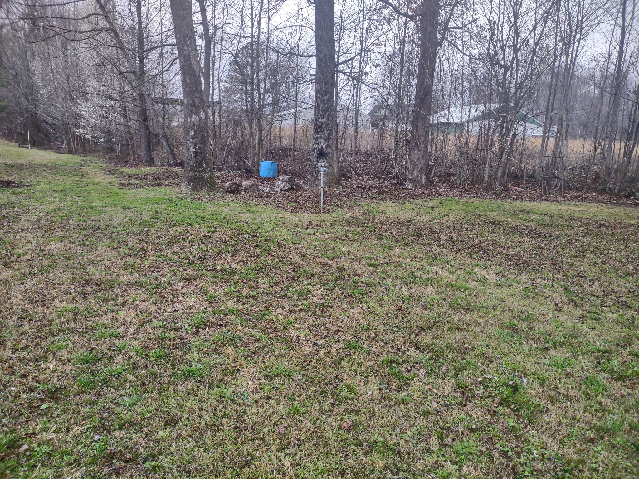 59 Lakeside Ln Property Photo 16