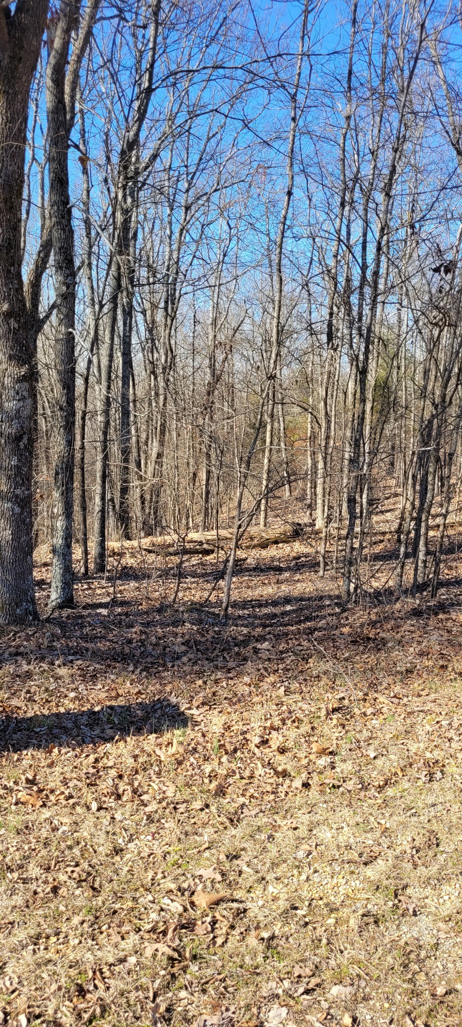 1 Eagle Shore Dr Property Photo 3