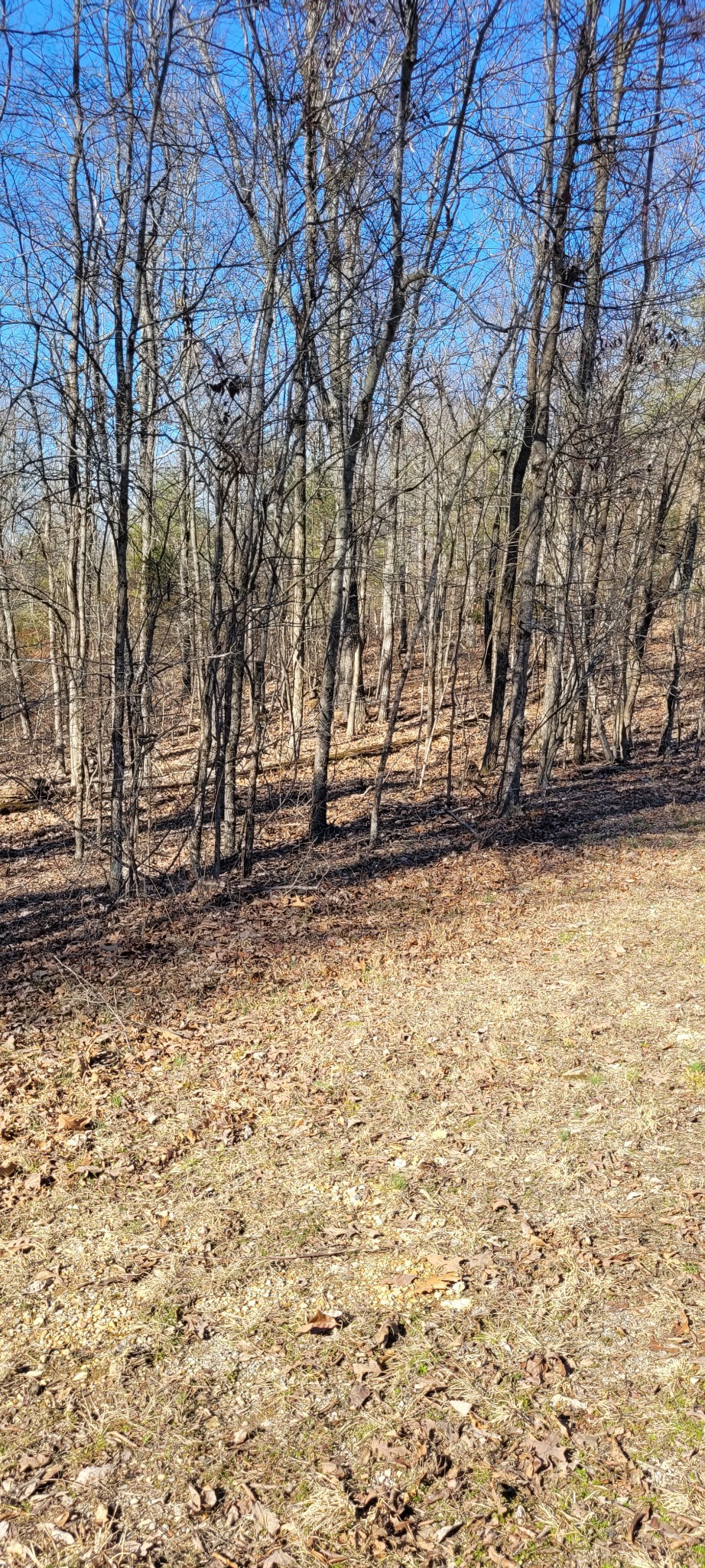 1 Eagle Shore Dr Property Photo 4