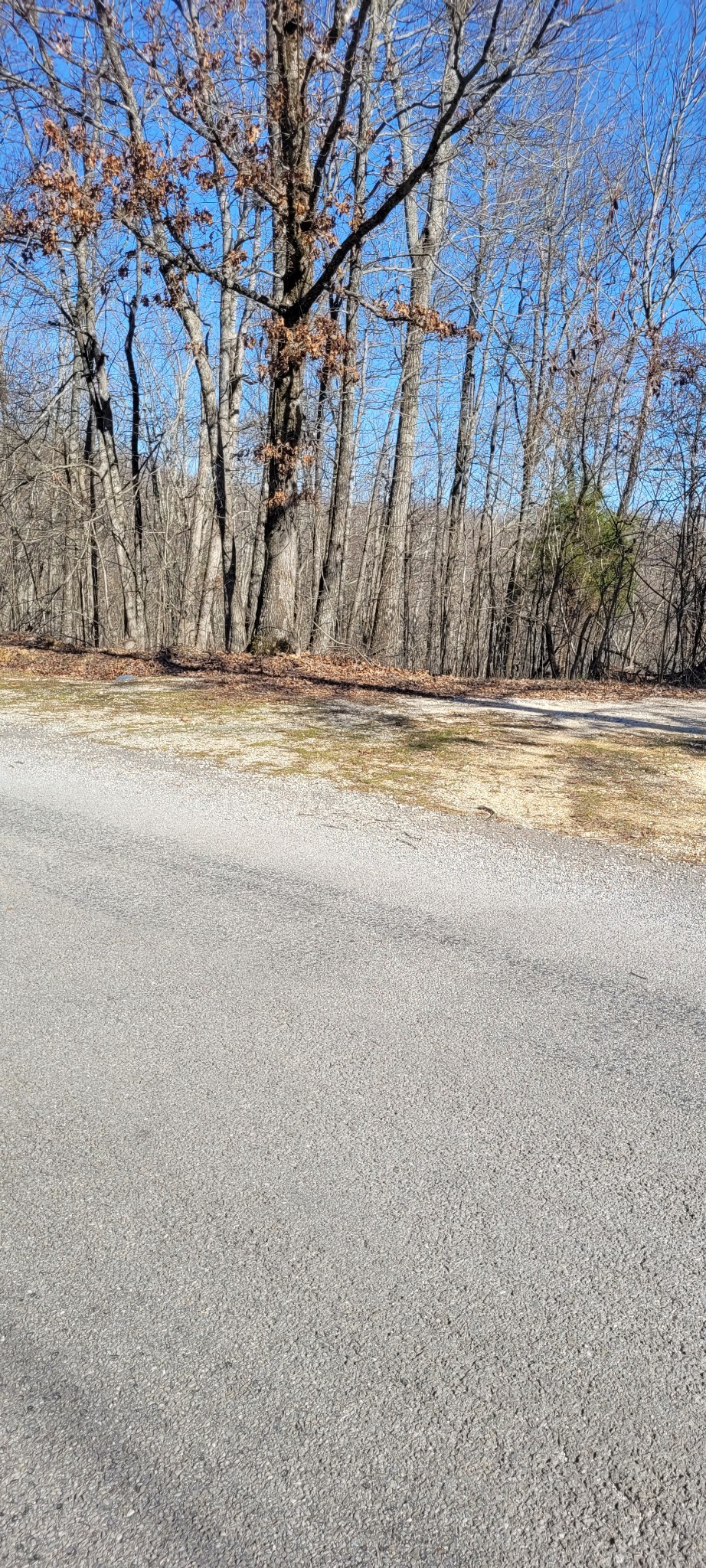 1 Eagle Shore Dr Property Photo 5