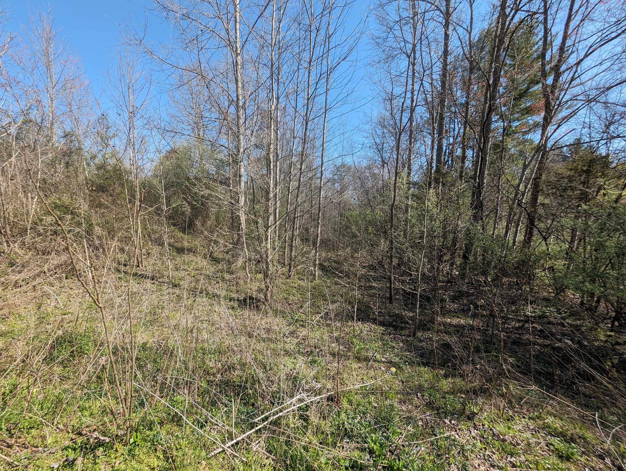 1601 Straight Fork Rd Property Photo