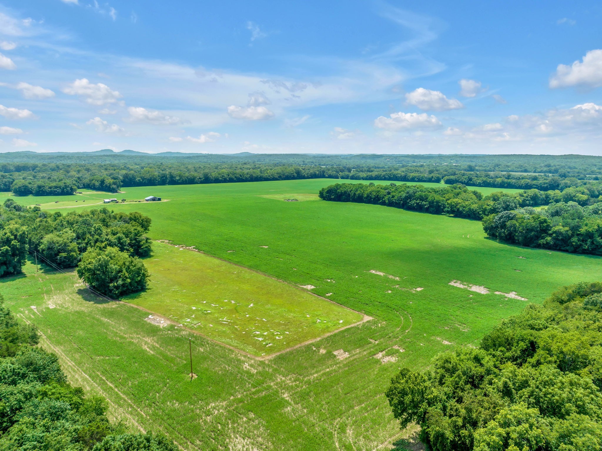3300 Old Sowell Mill Pike Property Photo 1